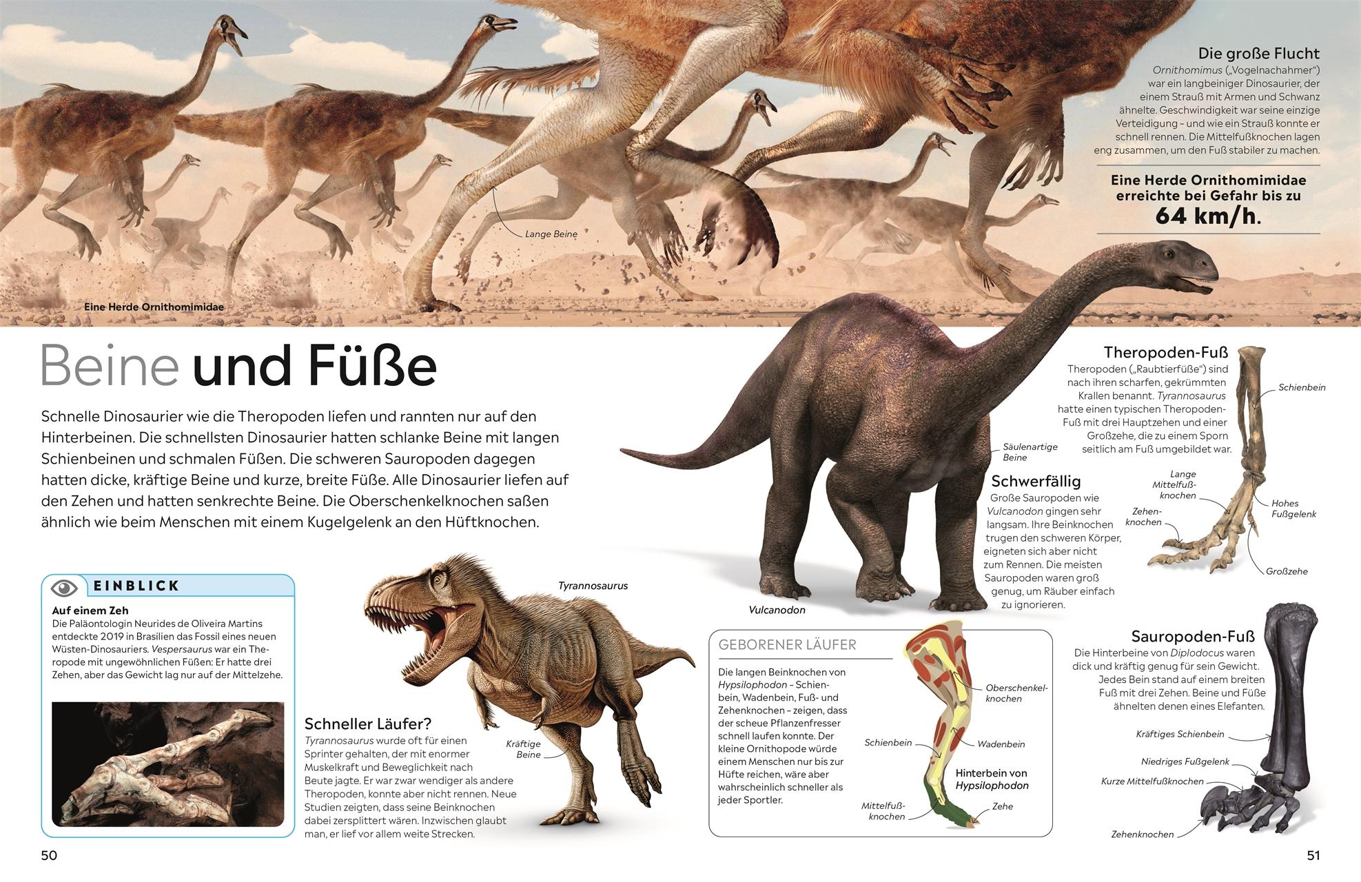 Beispielinhalt (Bild) memo Wissen. Dinosaurier