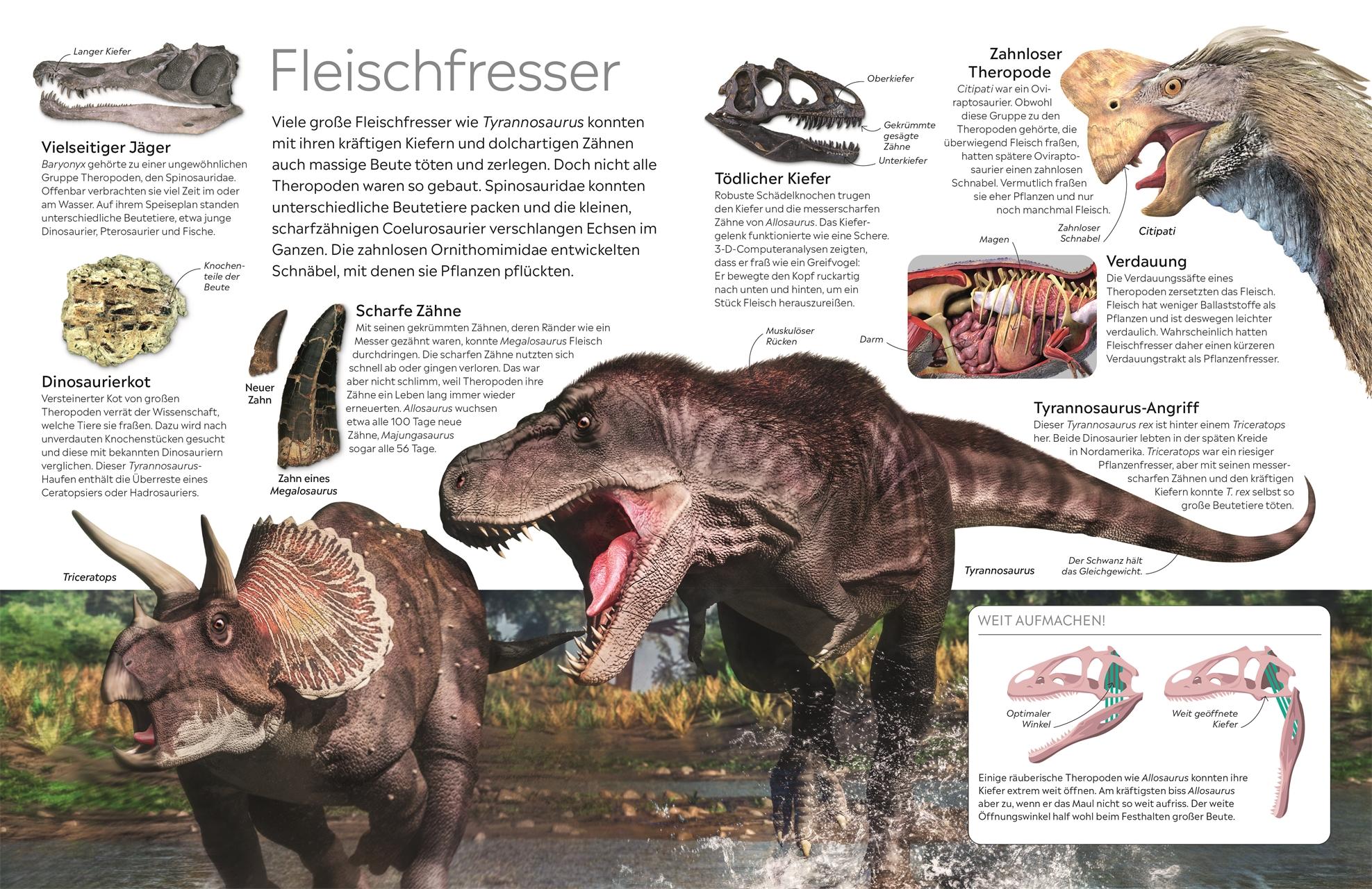 Beispielinhalt (Bild) memo Wissen. Dinosaurier