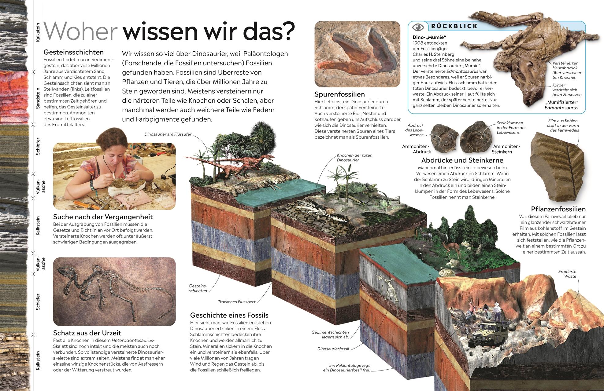 Beispielinhalt (Bild) memo Wissen. Dinosaurier