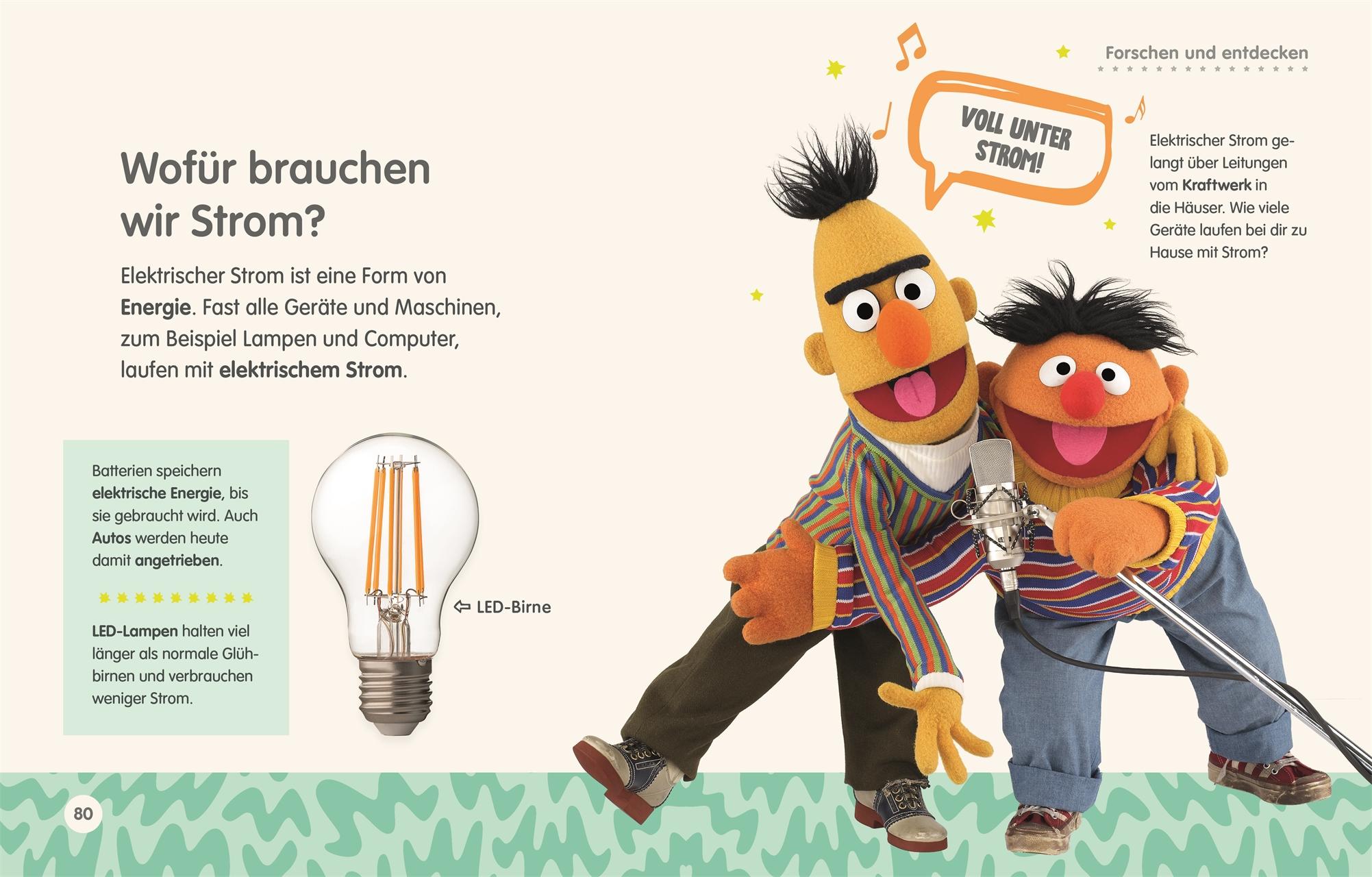 Beispielinhalt (Bild) Sesamstraße Elmo fragt warum