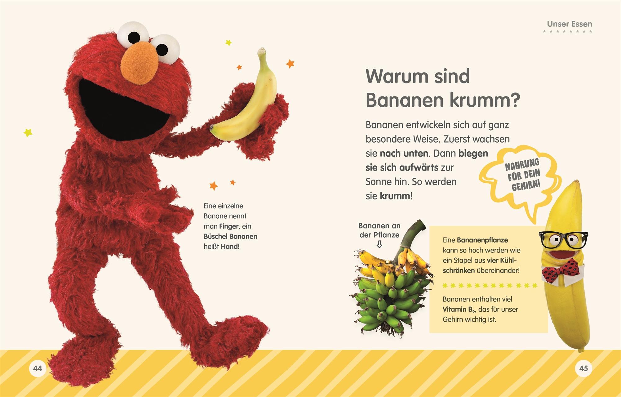 Beispielinhalt (Bild) Sesamstraße Elmo fragt warum