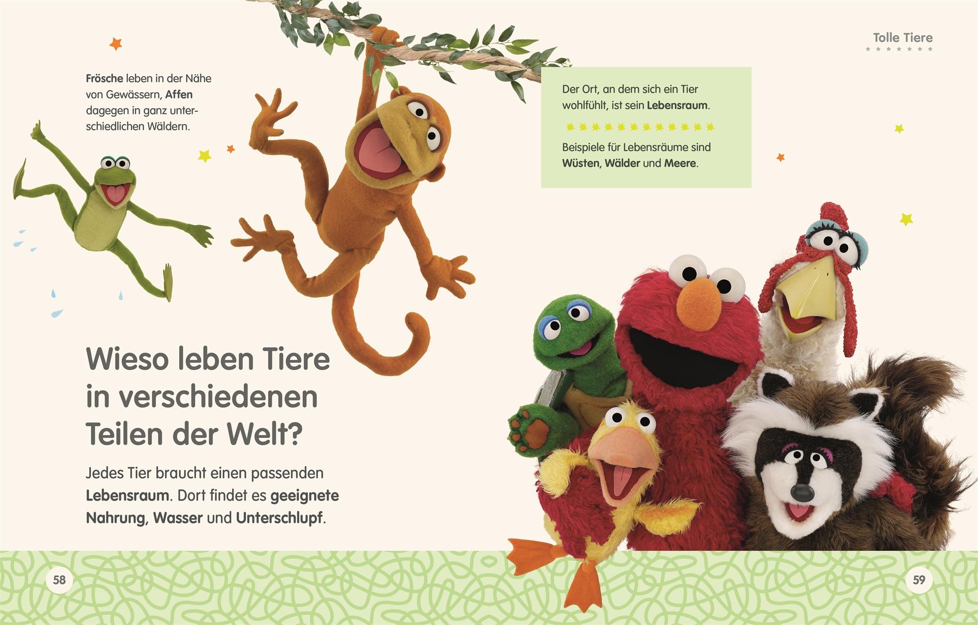 Beispielinhalt (Bild) Sesamstraße Elmo fragt warum