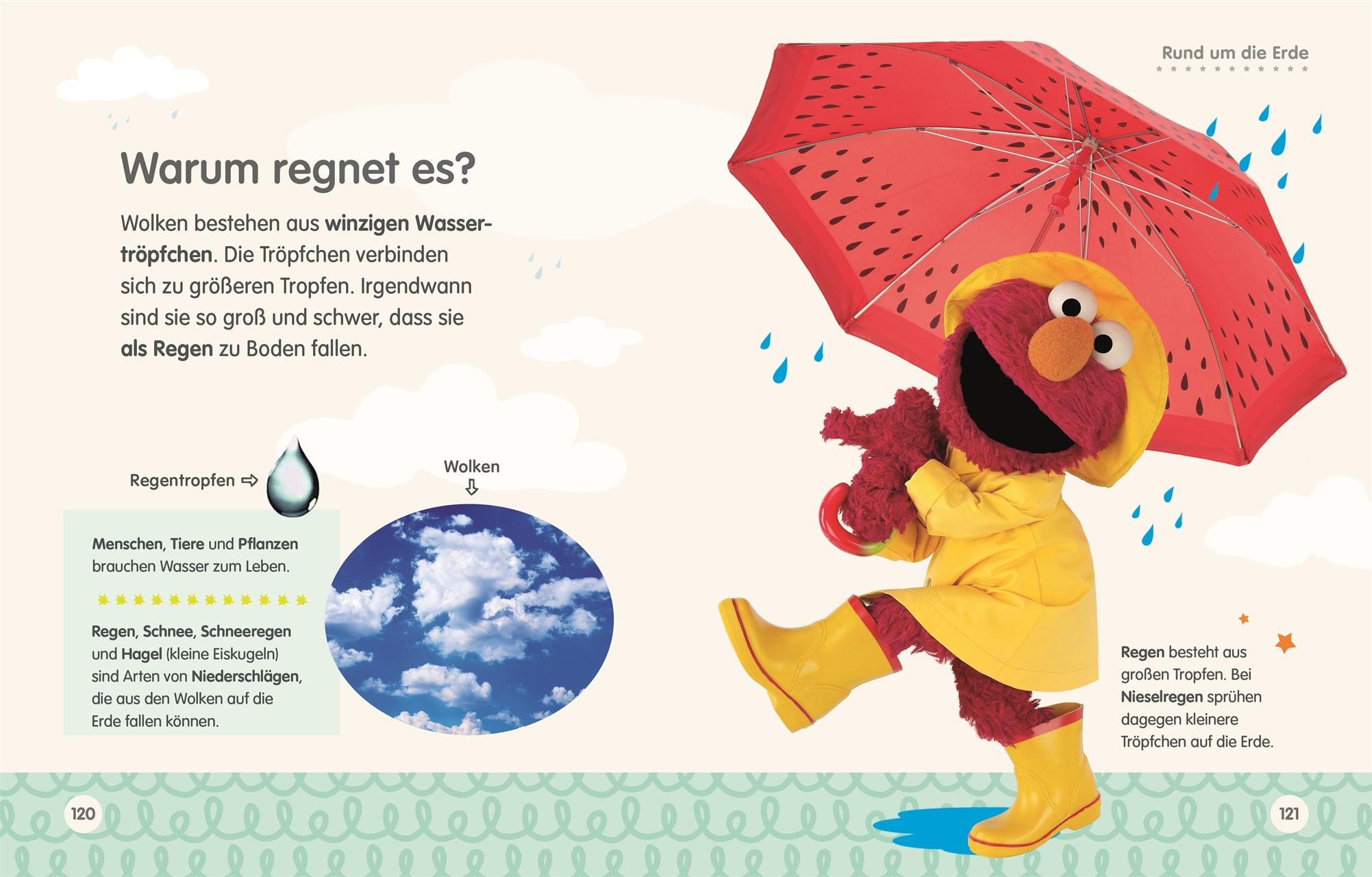 Beispielinhalt (Bild) Sesamstraße Elmo fragt warum