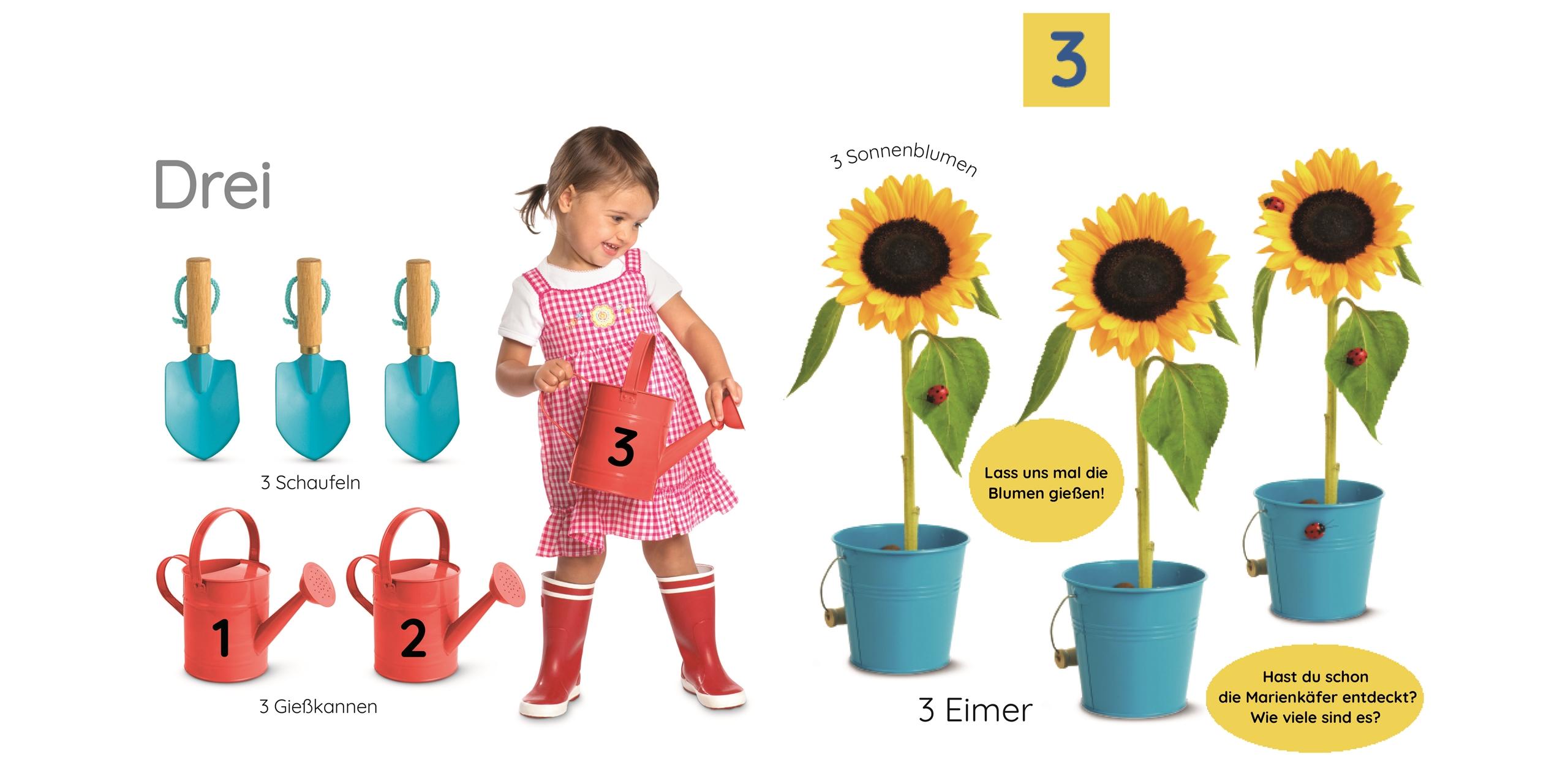 Beispielinhalt (Bild) Erstes Lernen. Zahlen