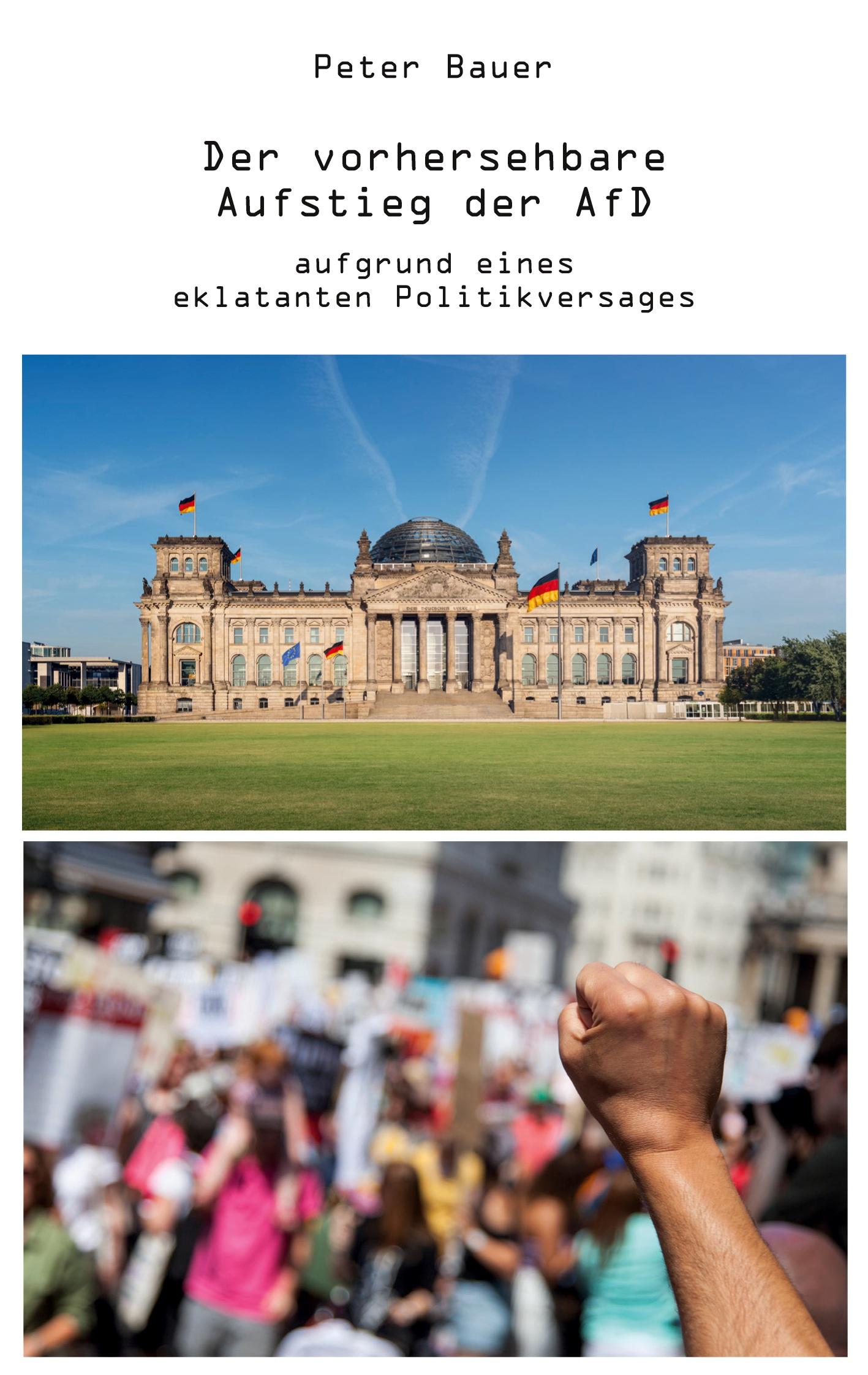 Vorderes Coverbild Der vorhersehbare Aufstieg der AfD
