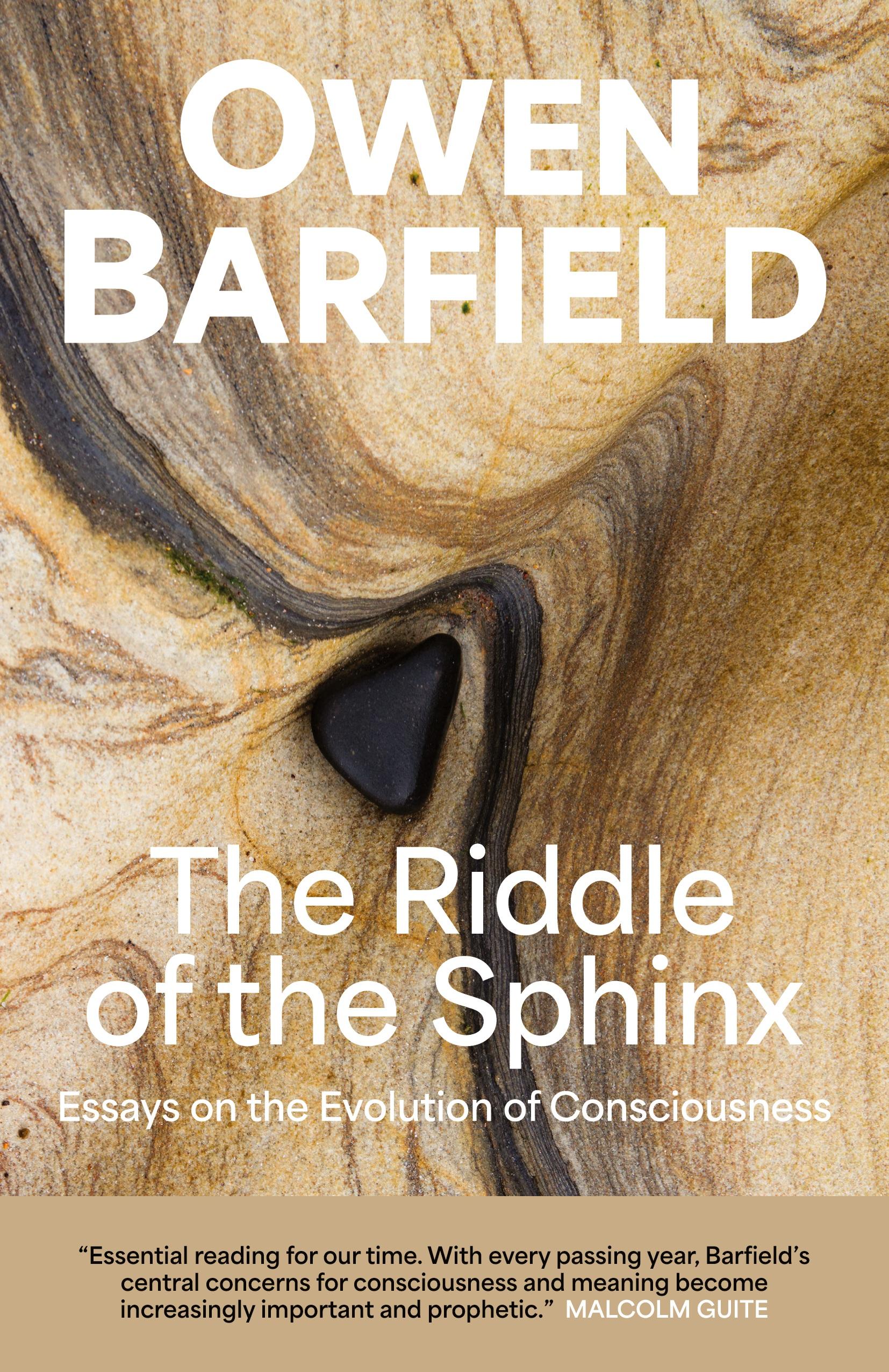 Vorderes Coverbild The Riddle of the Sphinx