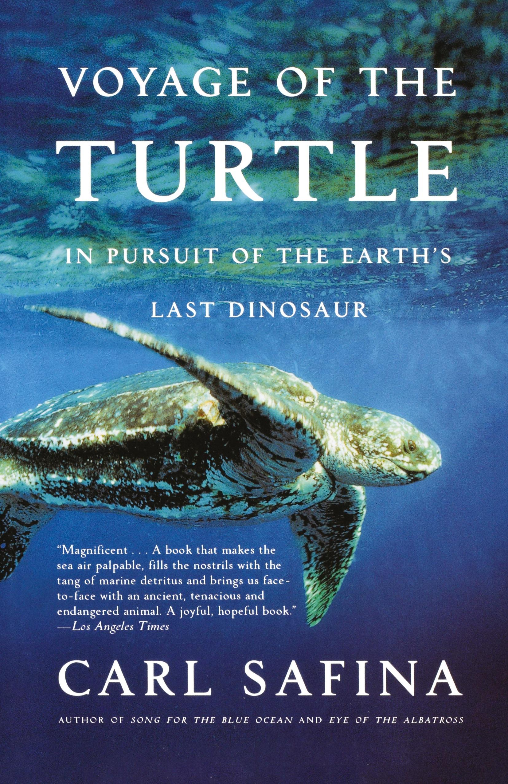 Vorderes Coverbild Voyage of the Turtle