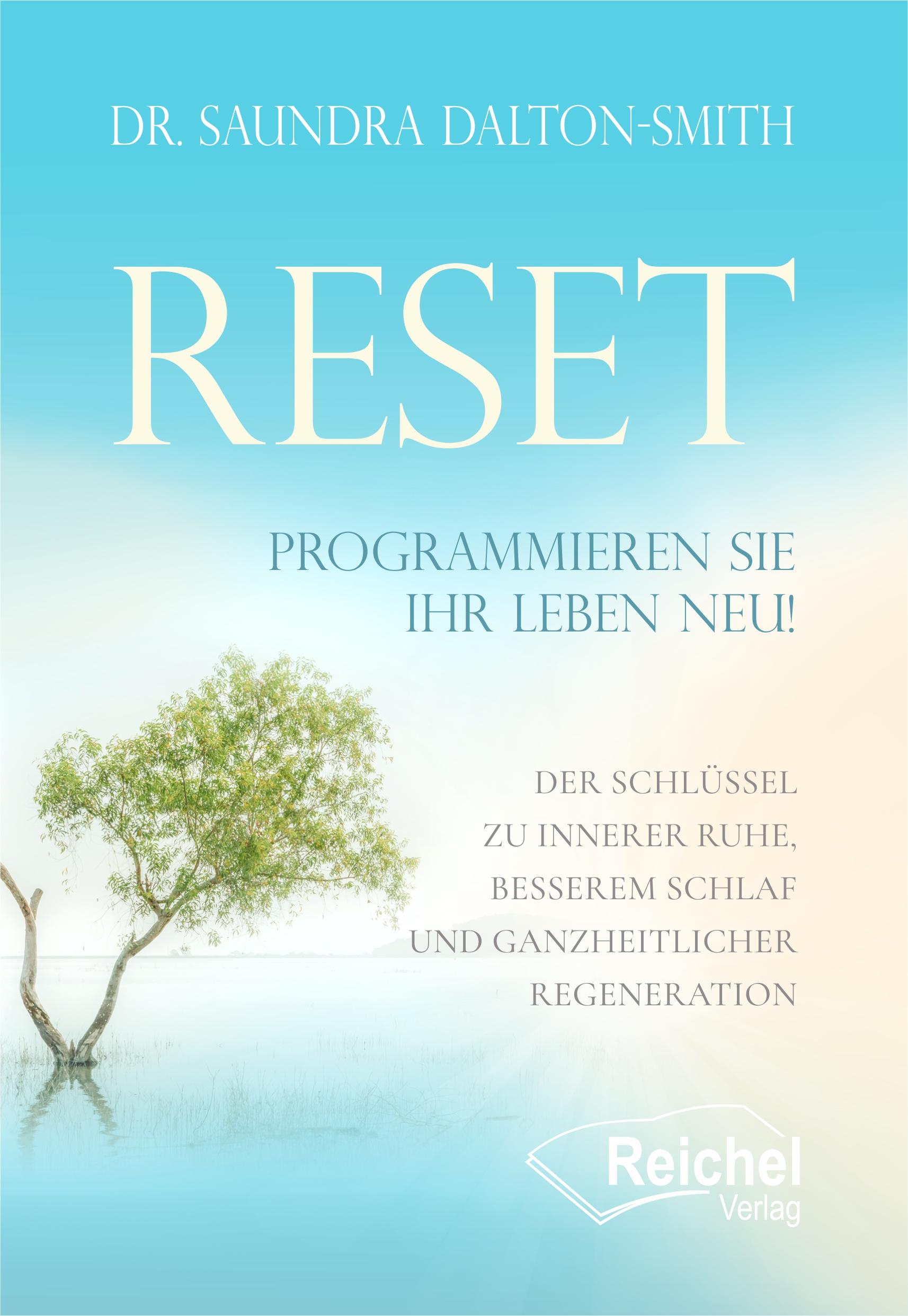 Vorderes Coverbild RESET