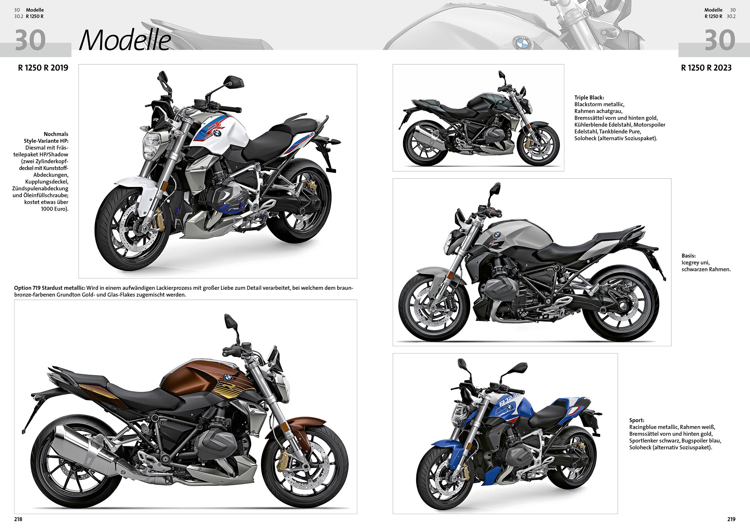 Beispielinhalt (Bild) BMW R 1200 R, BMW R 1250 R, BMW R 1200 RS, BMW R 1250 RS Reparaturanleitung