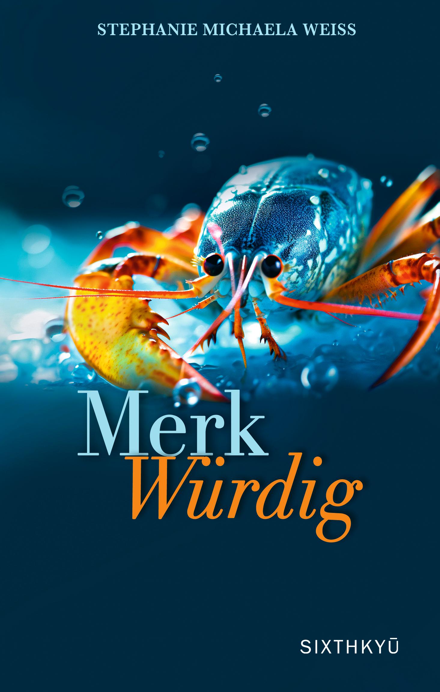 Vorderes Coverbild MerkWürdig