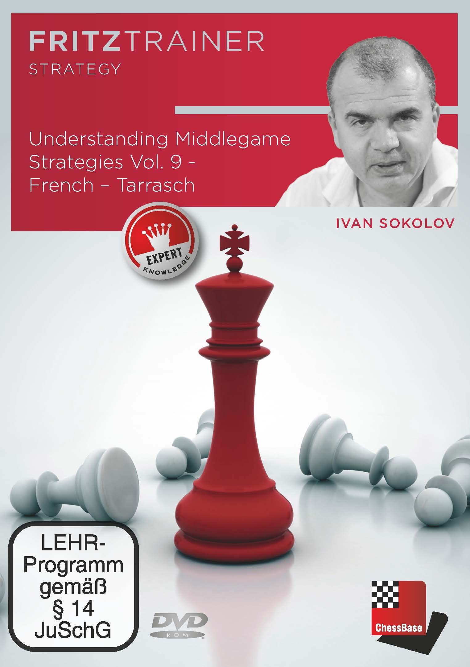Vorderes Coverbild Understanding Middlegame Strategies Vol. 9