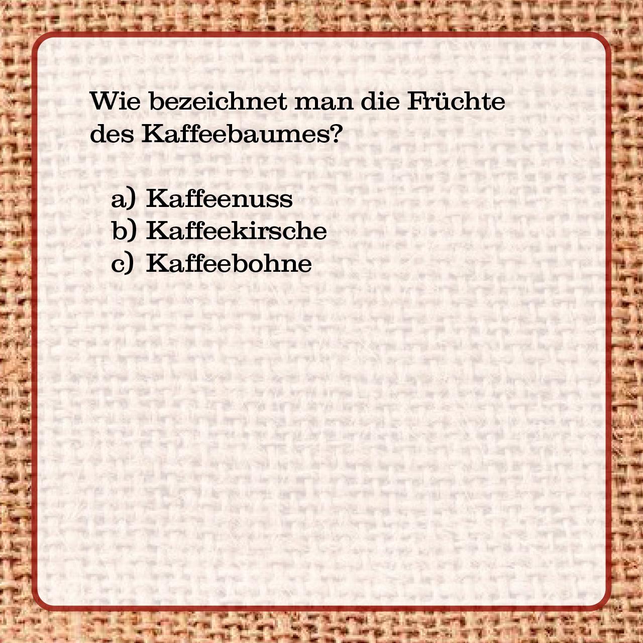 Beispielinhalt (Bild) Das Kaffee-Quiz