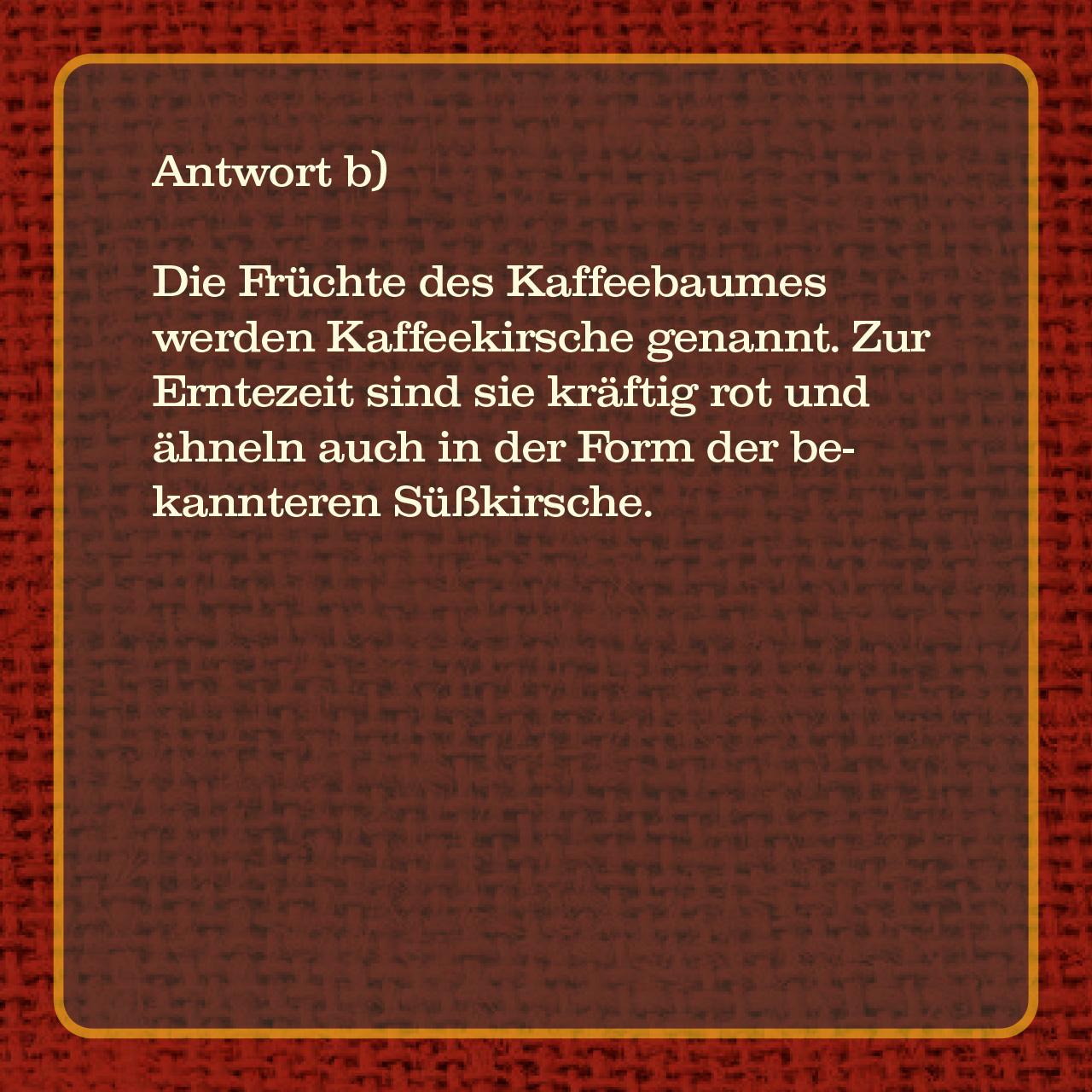 Beispielinhalt (Bild) Das Kaffee-Quiz