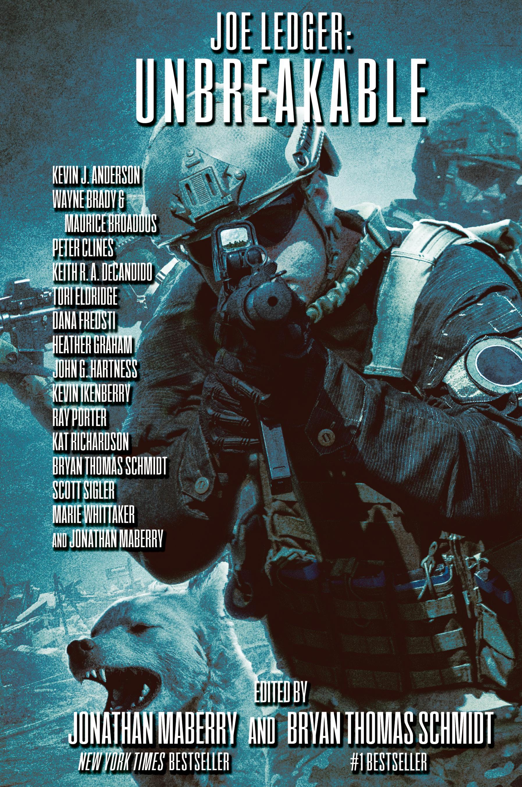 Vorderes Coverbild Joe Ledger