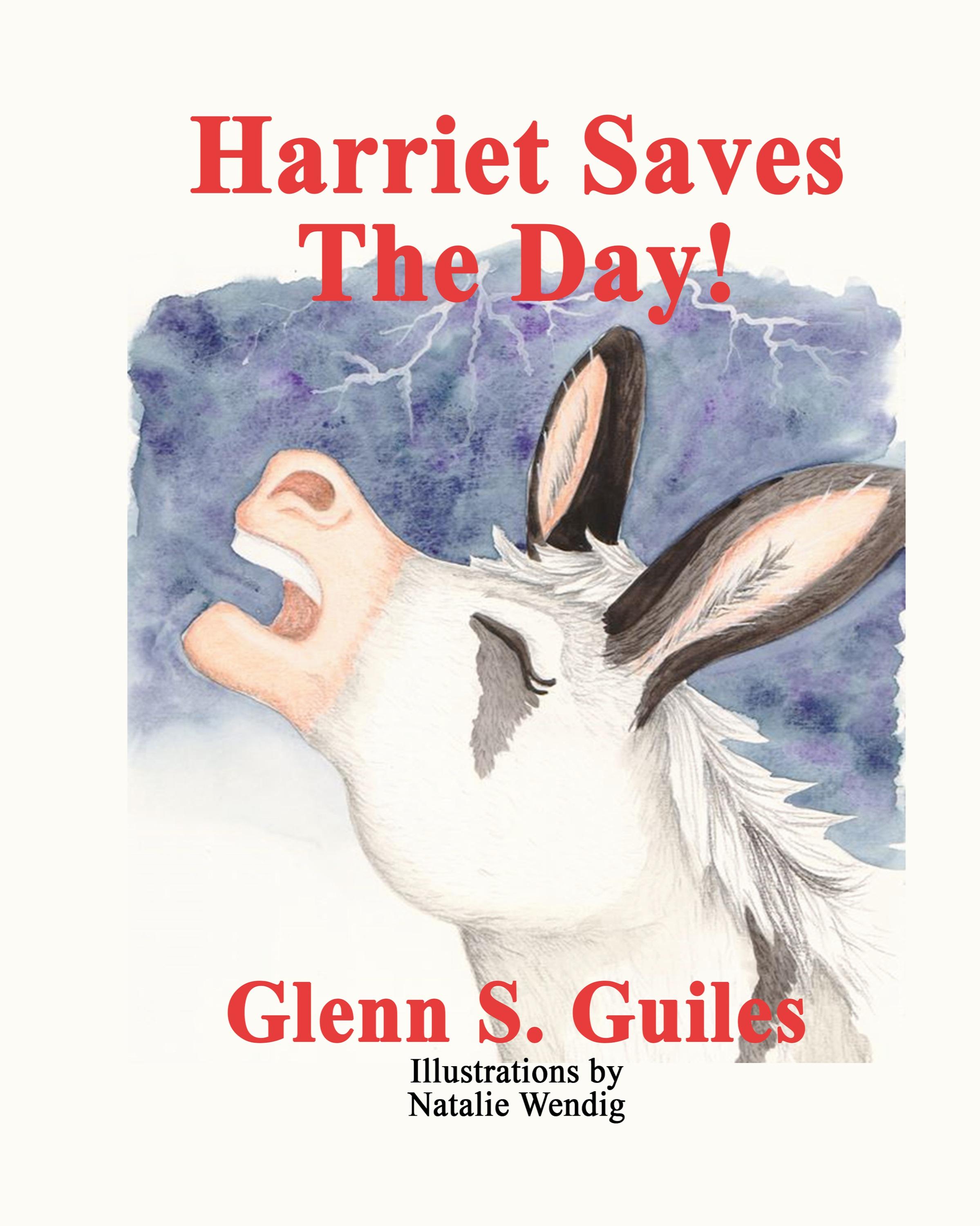Vorderes Coverbild Harriet Saves The Day!