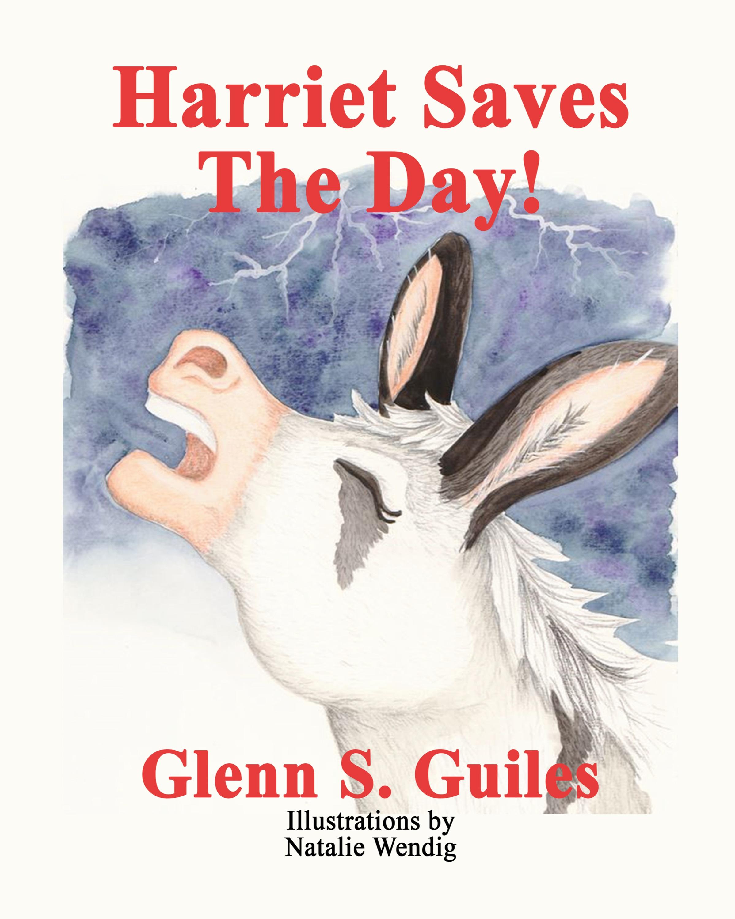 Vorderes Coverbild Harriet Saves The Day!