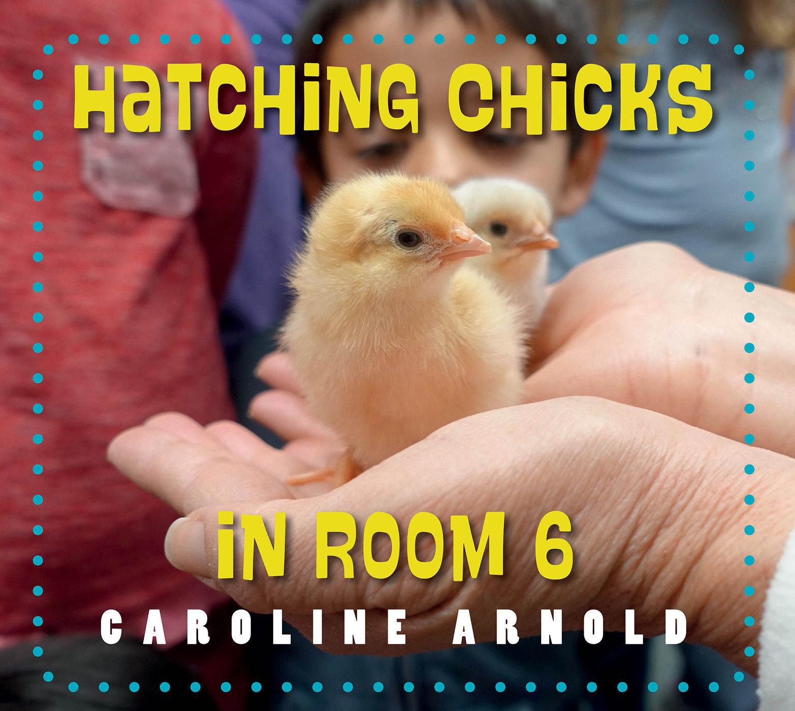 Vorderes Coverbild Hatching Chicks in Room 6
