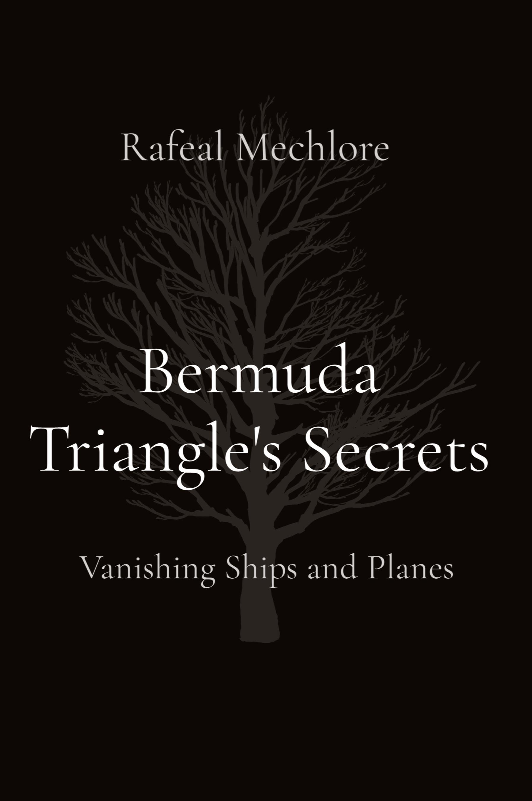 Vorderes Coverbild Bermuda Triangle's Secrets