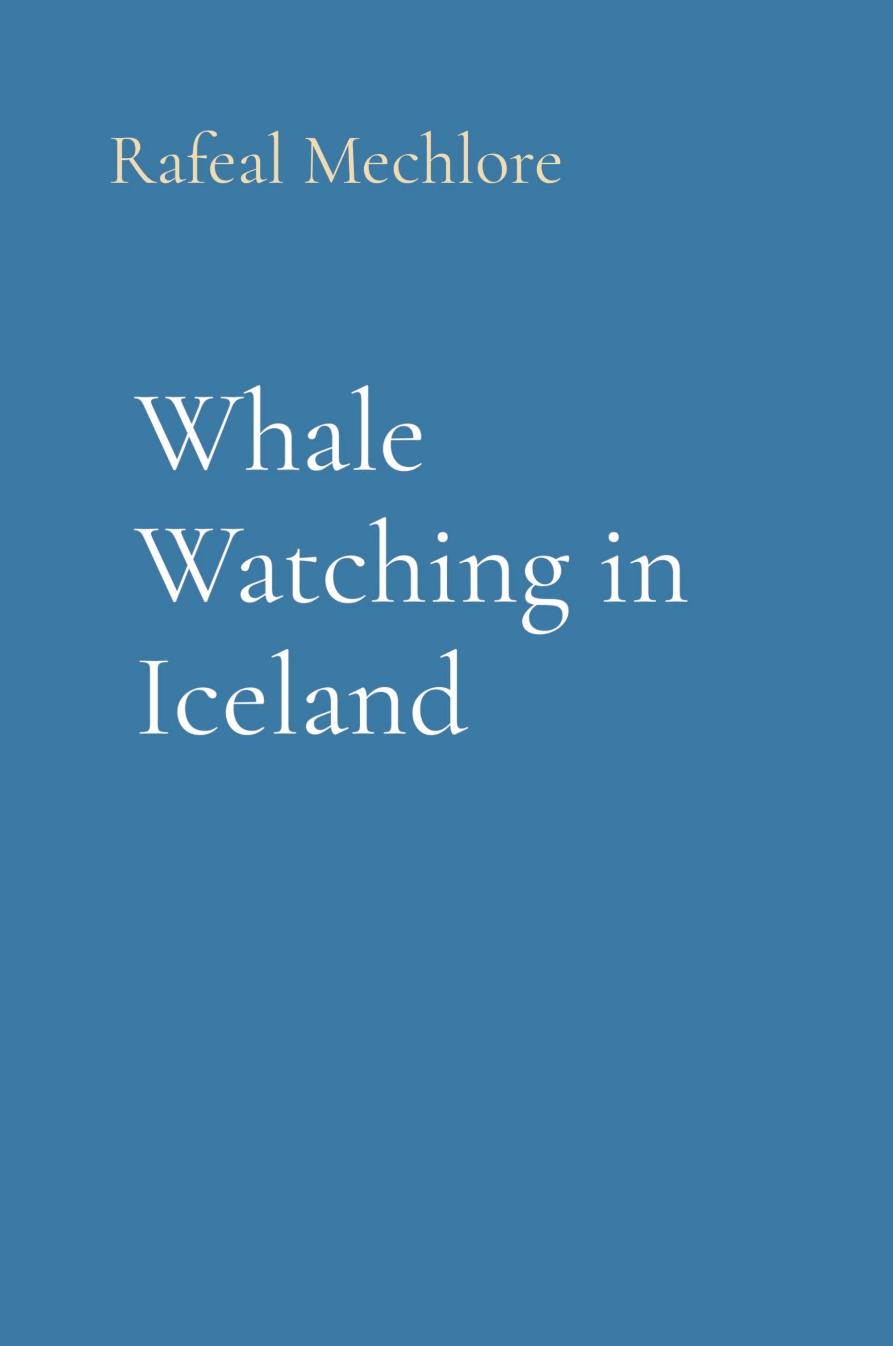 Vorderes Coverbild Whale Watching in Iceland