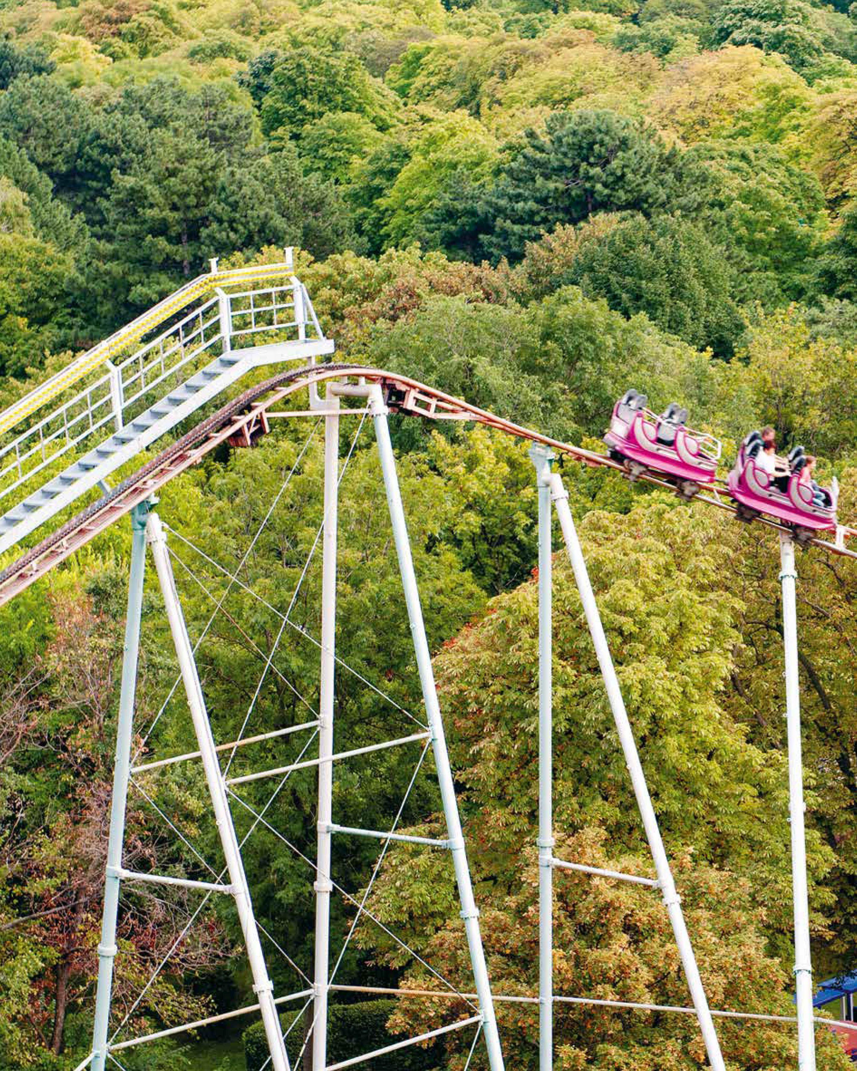 Beispielinhalt (Bild) Der Wiener Prater. Labor der Moderne