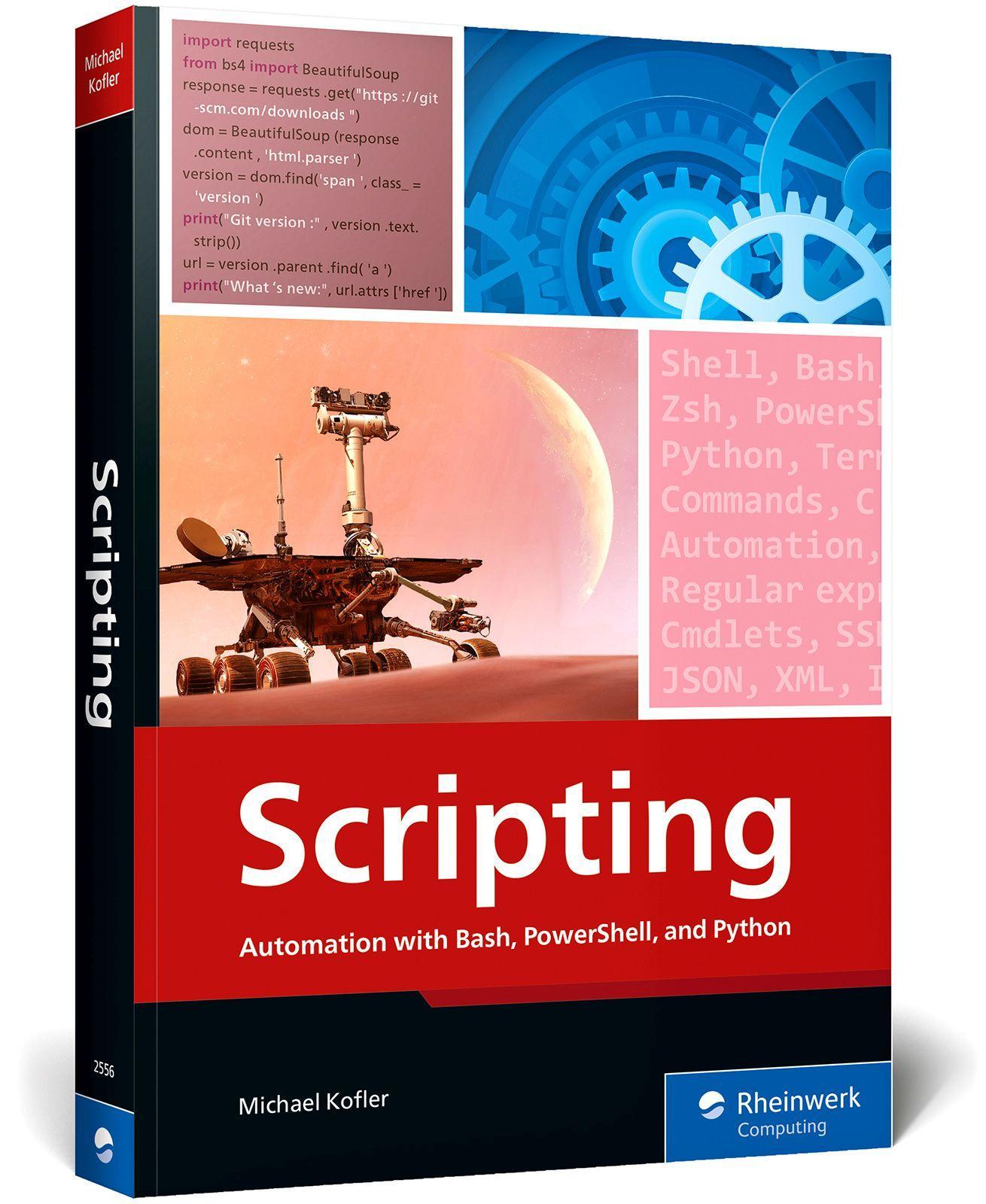 Vorderes Coverbild Scripting