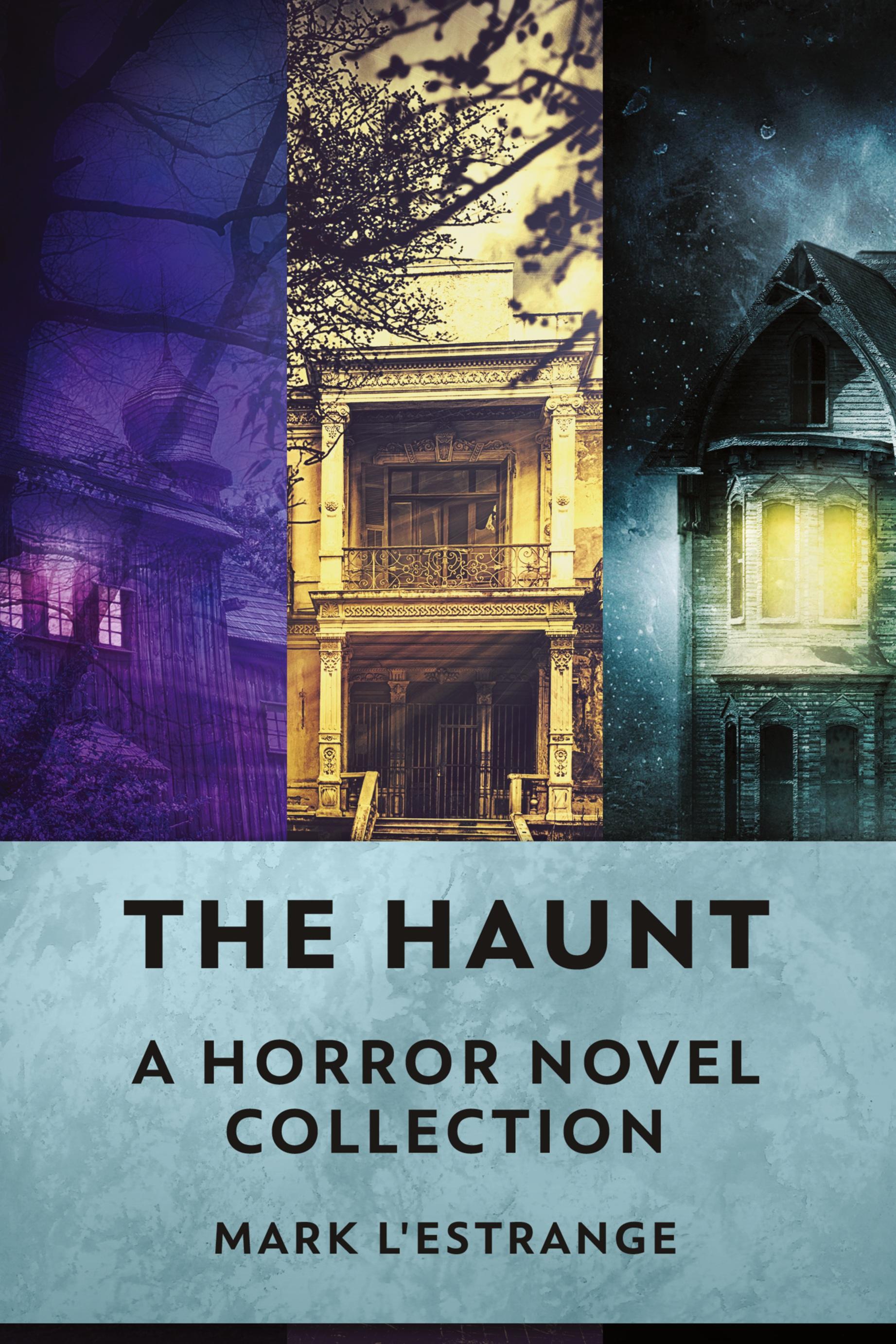 Vorderes Coverbild The Haunt