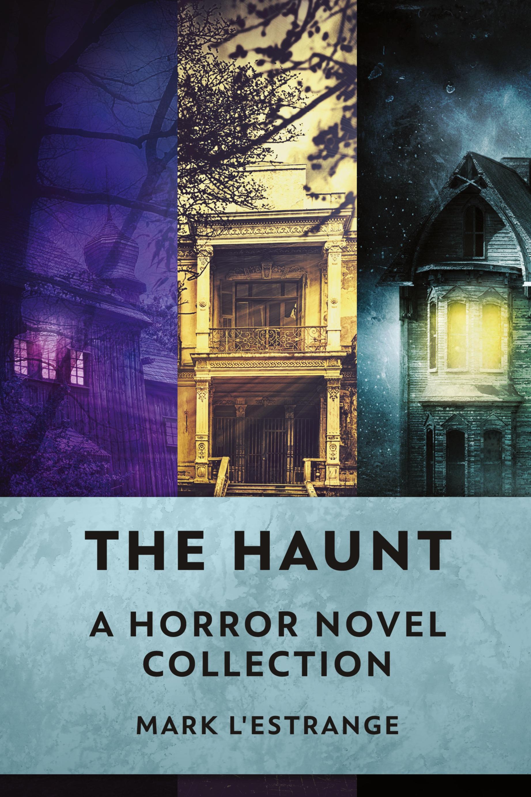 Vorderes Coverbild The Haunt