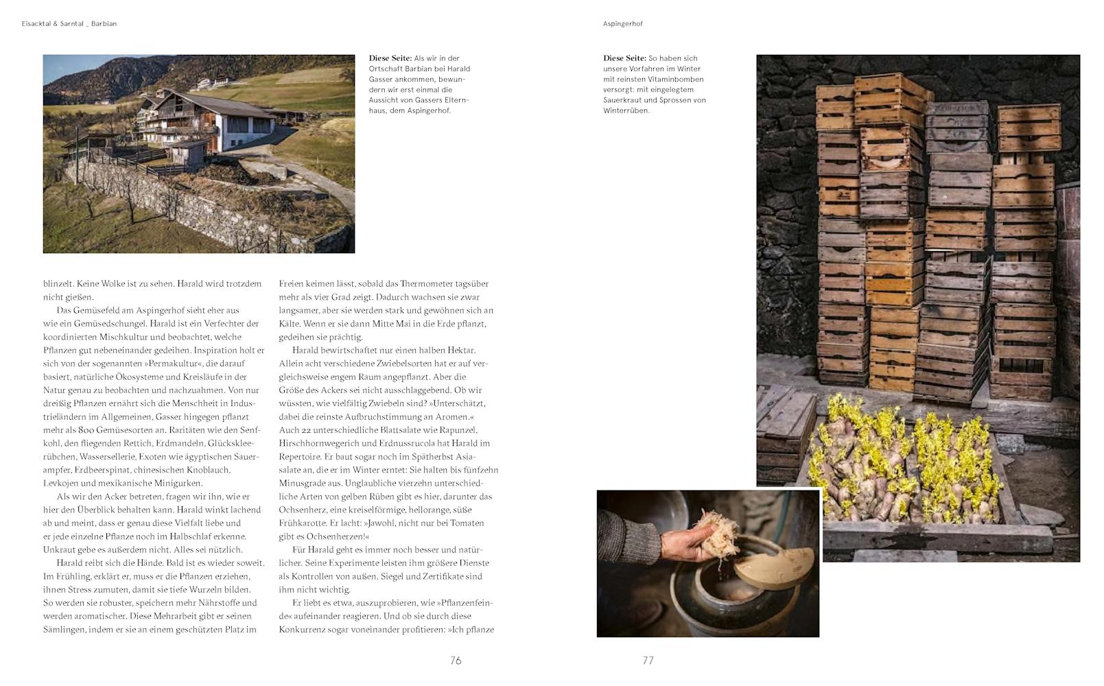 Beispielinhalt (Bild) Südtirol