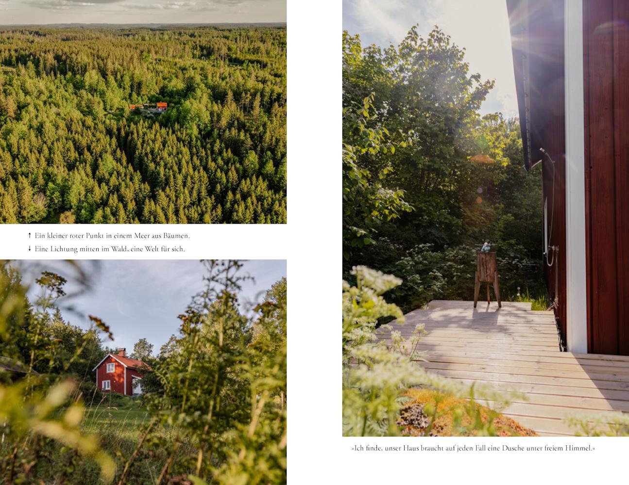 Beispielinhalt (Bild) Heimwärts