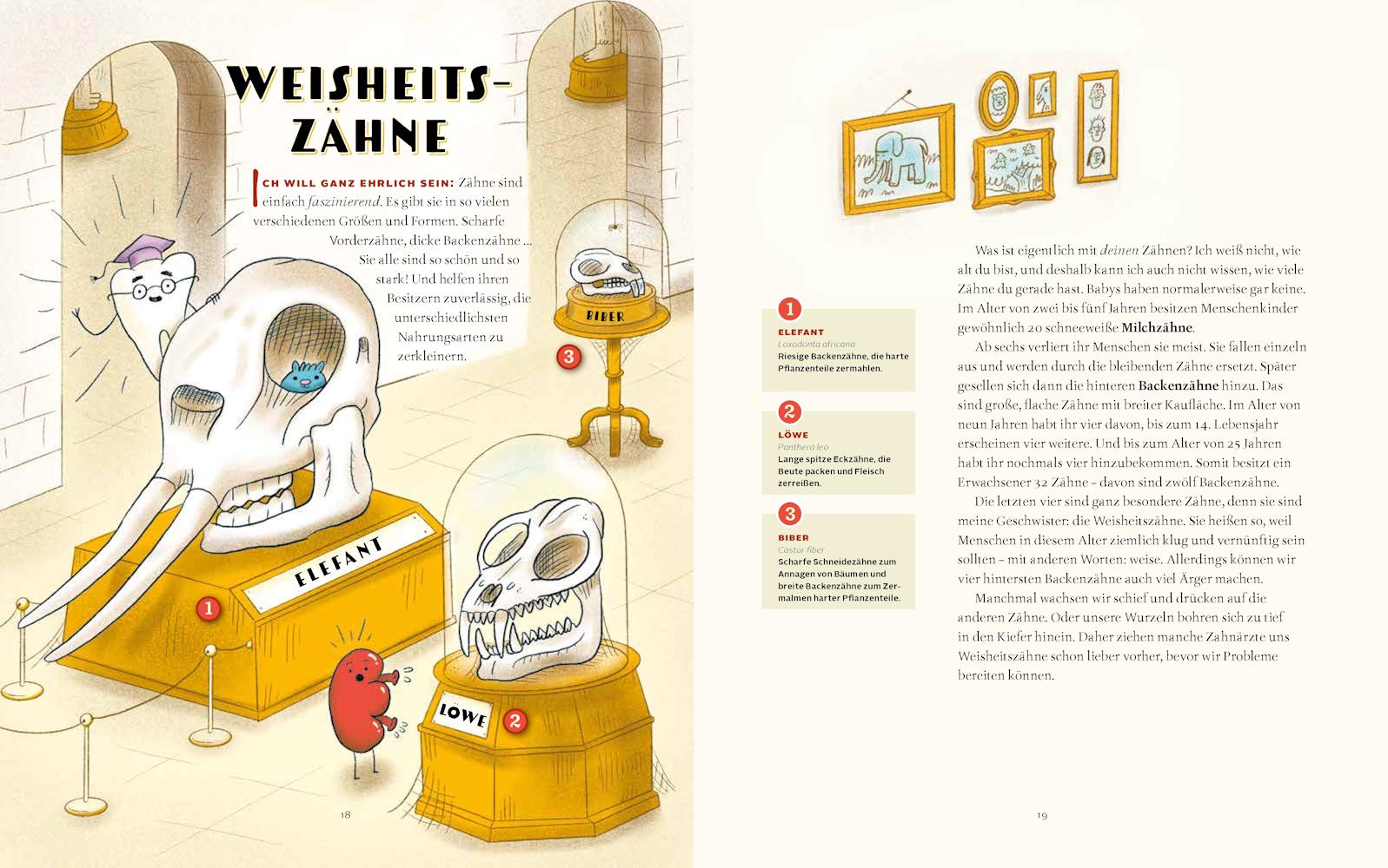 Beispielinhalt (Bild) Das Museum der unnützen Körperteile