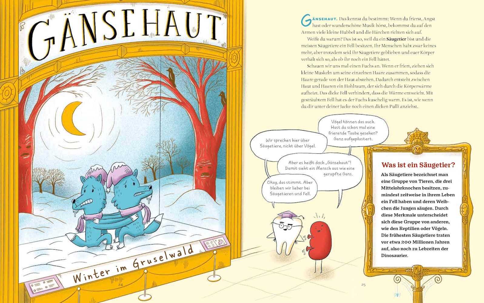 Beispielinhalt (Bild) Das Museum der unnützen Körperteile