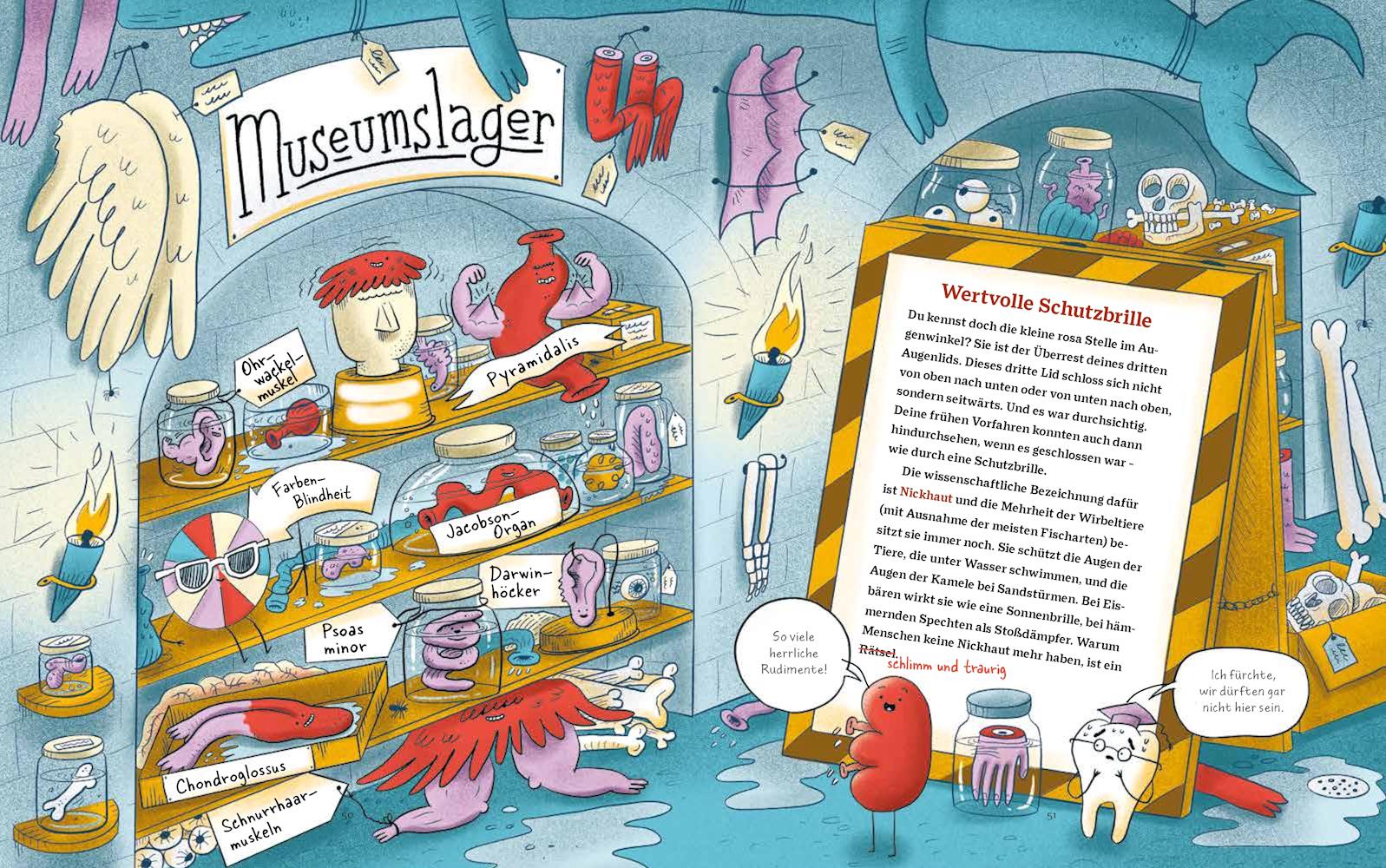 Beispielinhalt (Bild) Das Museum der unnützen Körperteile