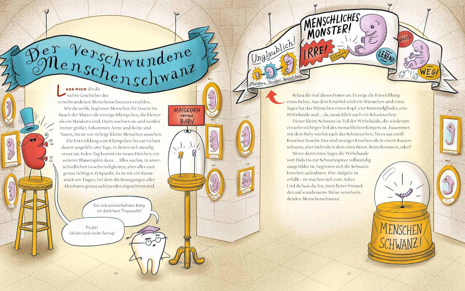 Beispielinhalt (Bild) Das Museum der unnützen Körperteile