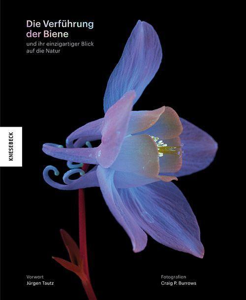 Vorderes Coverbild Die Verführung der Biene