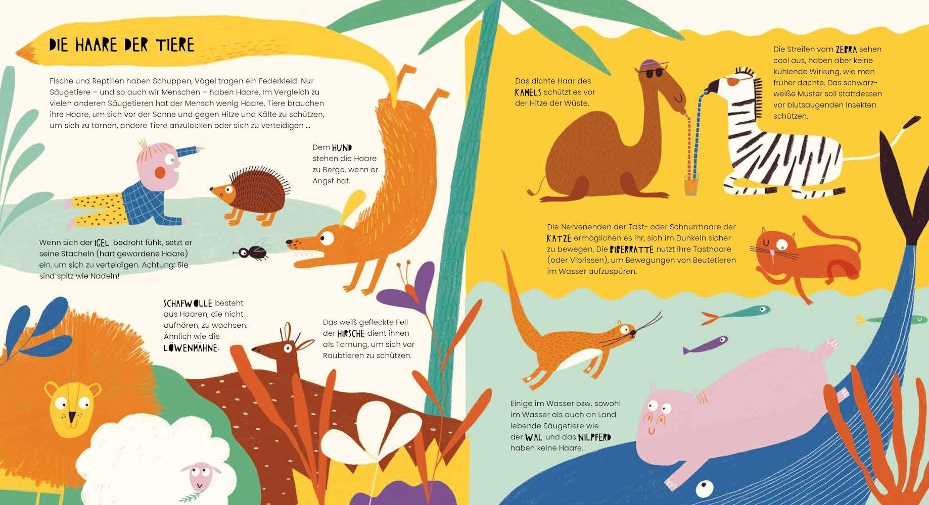 Beispielinhalt (Bild) Das geheime Leben der Haare