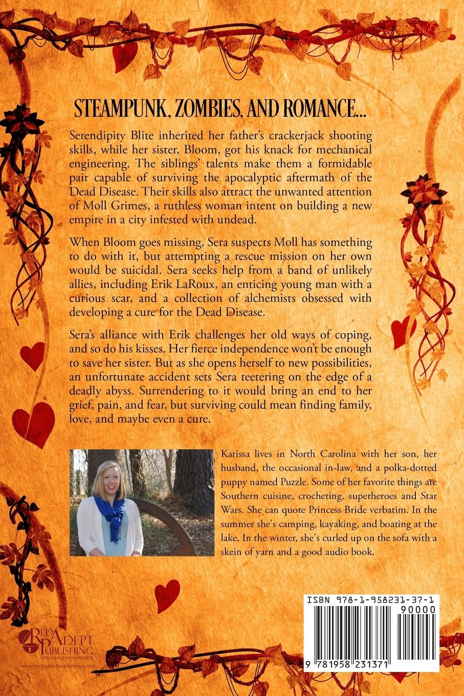 Rückseitencover Serendipity at the End of the World