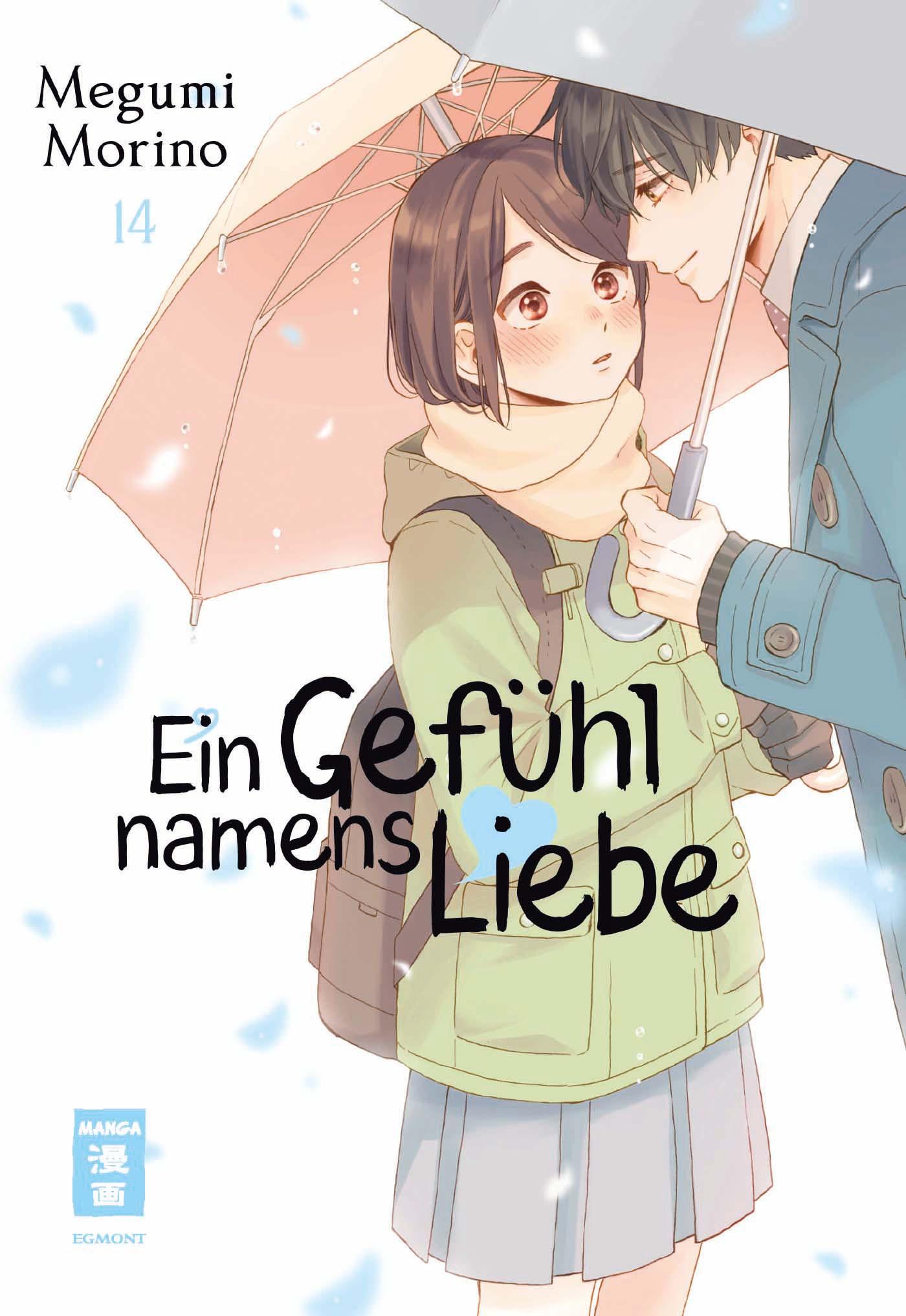 Vorderes Coverbild Ein Gefühl namens Liebe 14