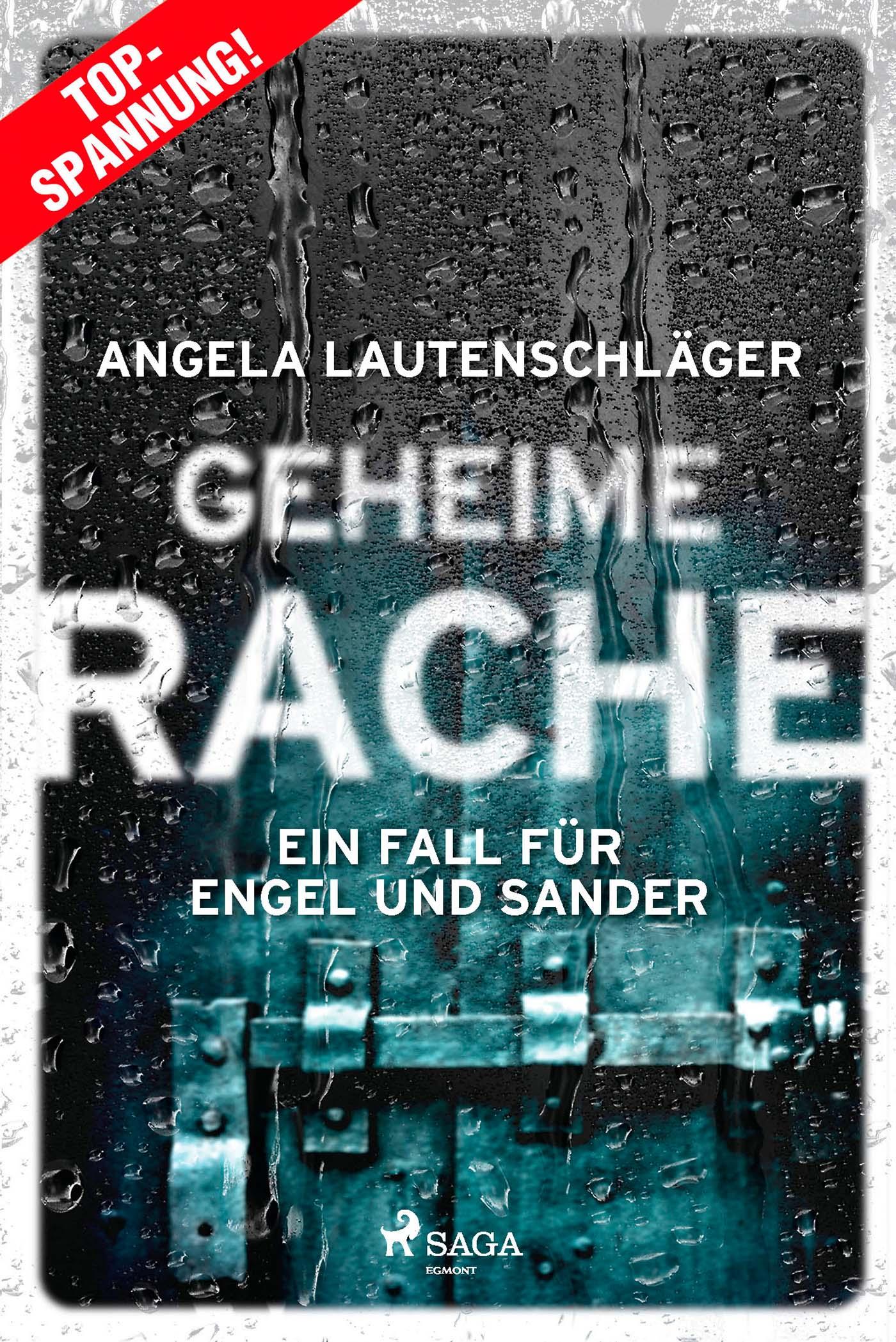 Vorderes Coverbild Geheime Rache - Ein Fall für Engel und Sander 2