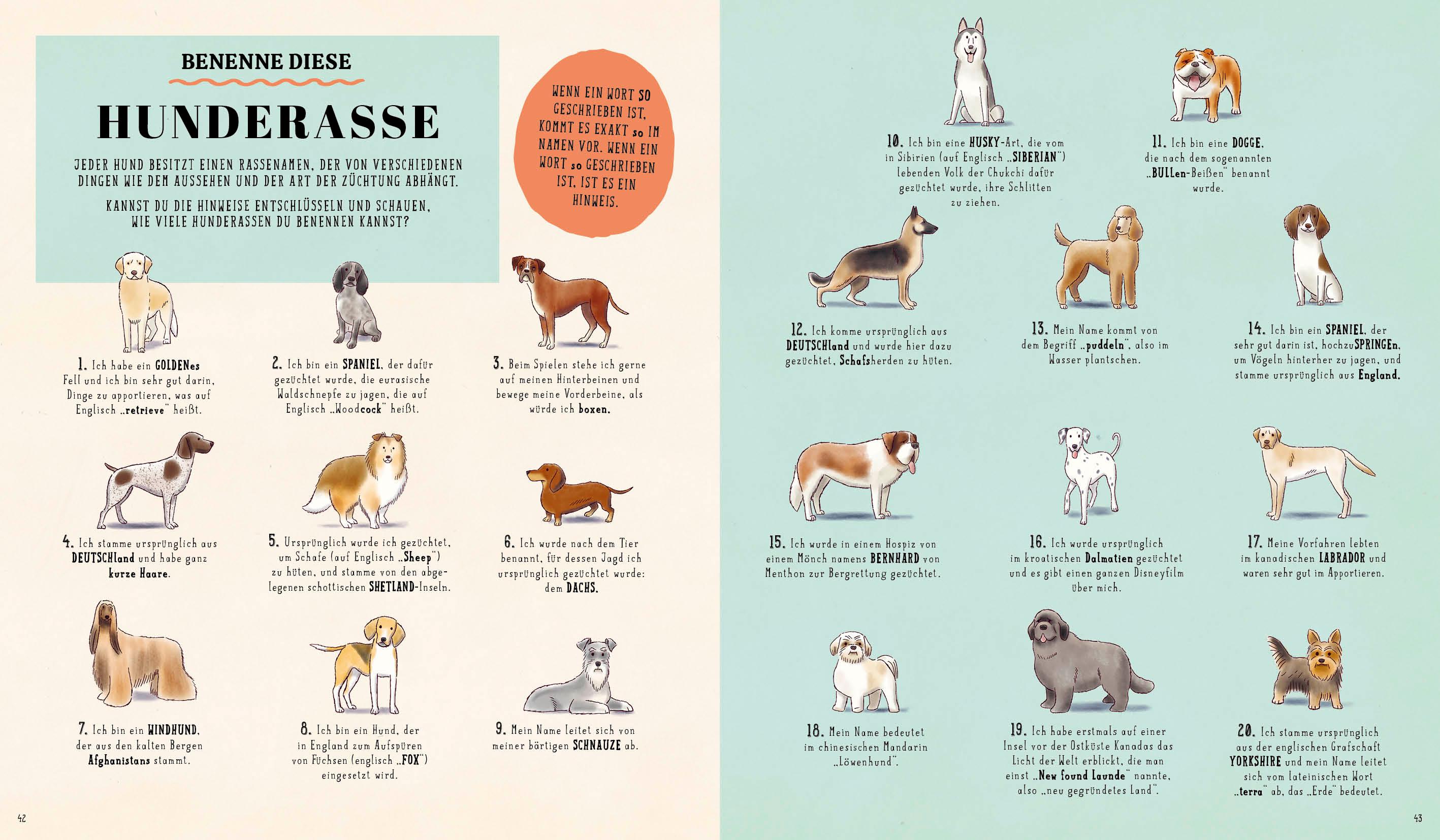 Beispielinhalt (Bild) Wie? Was? Wow!