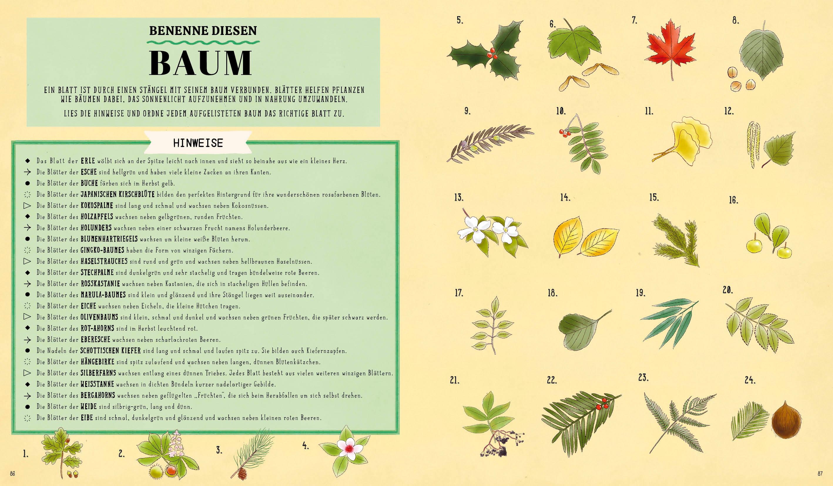 Beispielinhalt (Bild) Wie? Was? Wow!