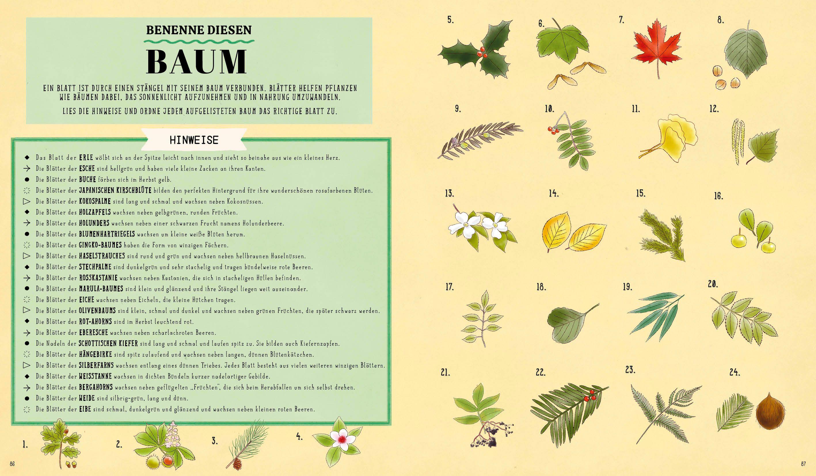 Beispielinhalt (Bild) Wie? Was? Wow!