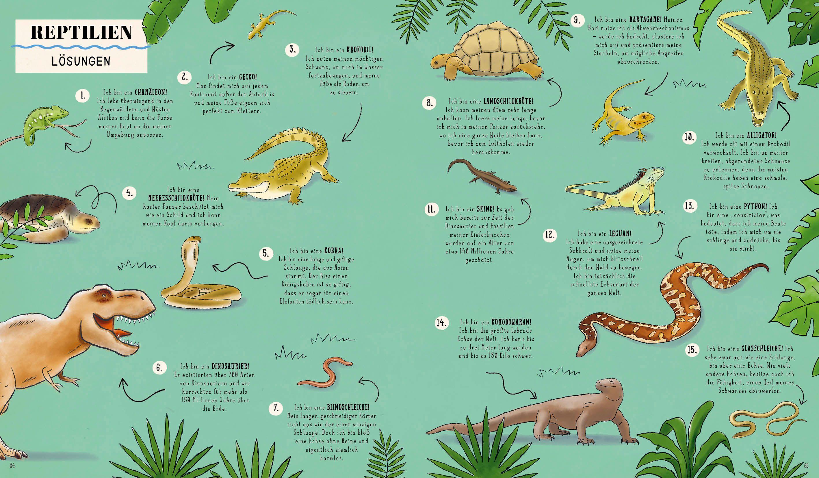 Beispielinhalt (Bild) Wie? Was? Wow!