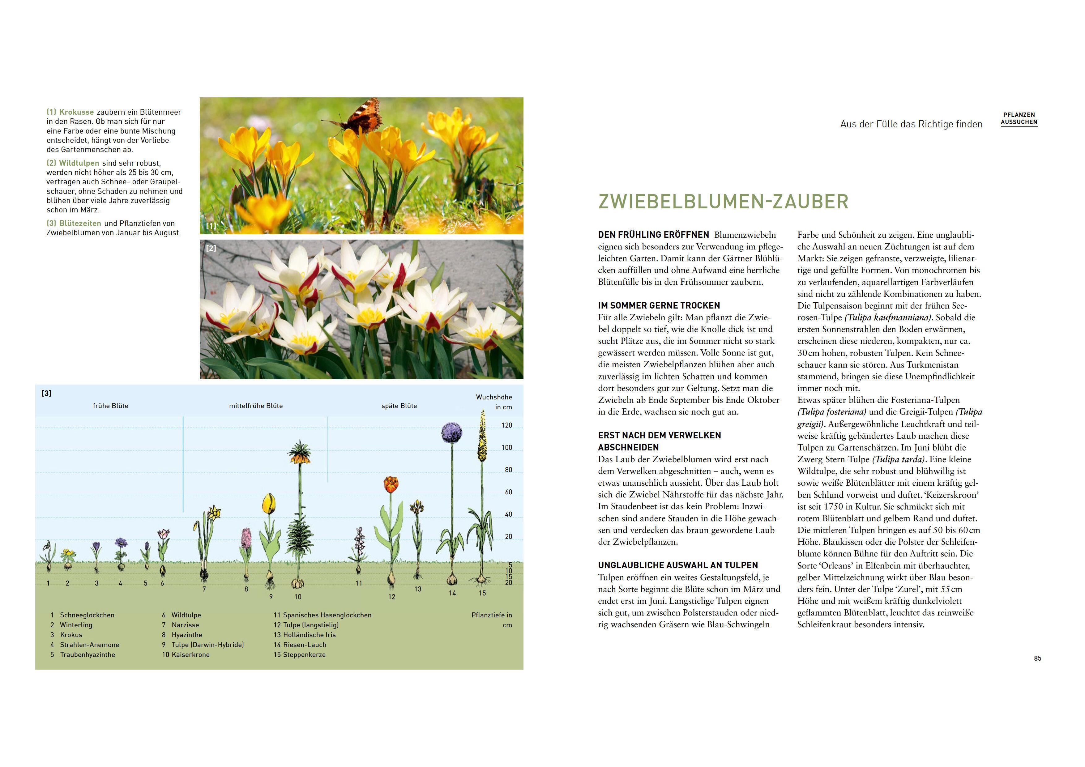 Beispielinhalt (Bild) Mein schöner pflegeleichter Garten. Gewusst wie - geschickte Garten-Planung und Pflanzenauswahl
