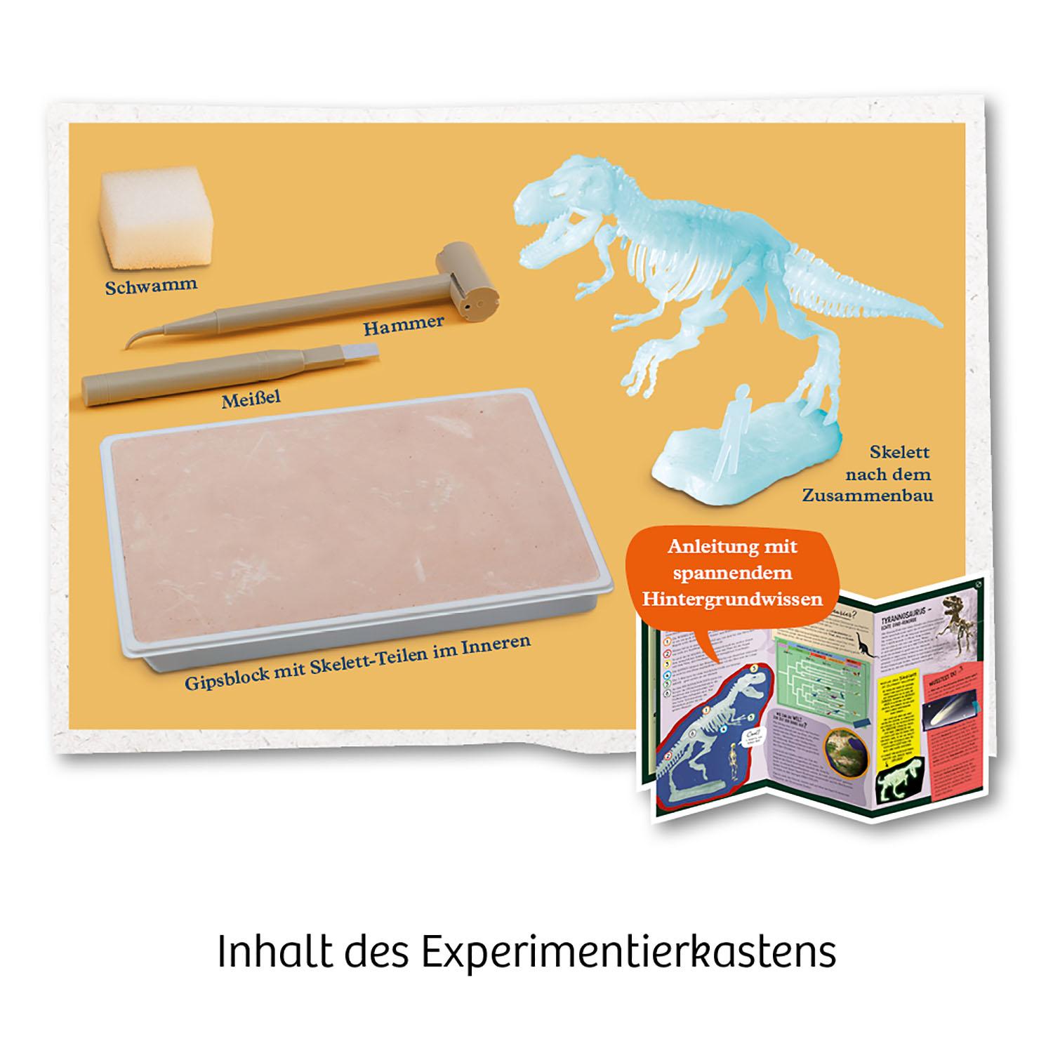 Beispielinhalt (Bild) Nachtleuchtender T-REX