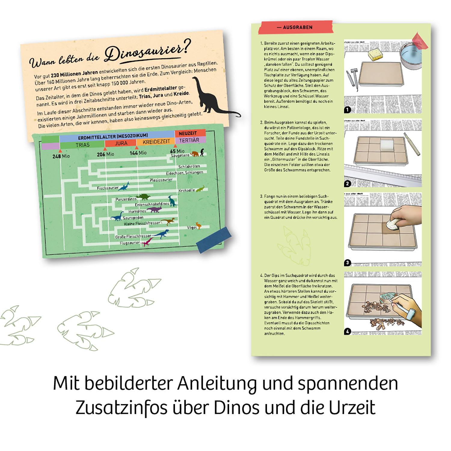 Beispielinhalt (Bild) Nachtleuchtender T-REX