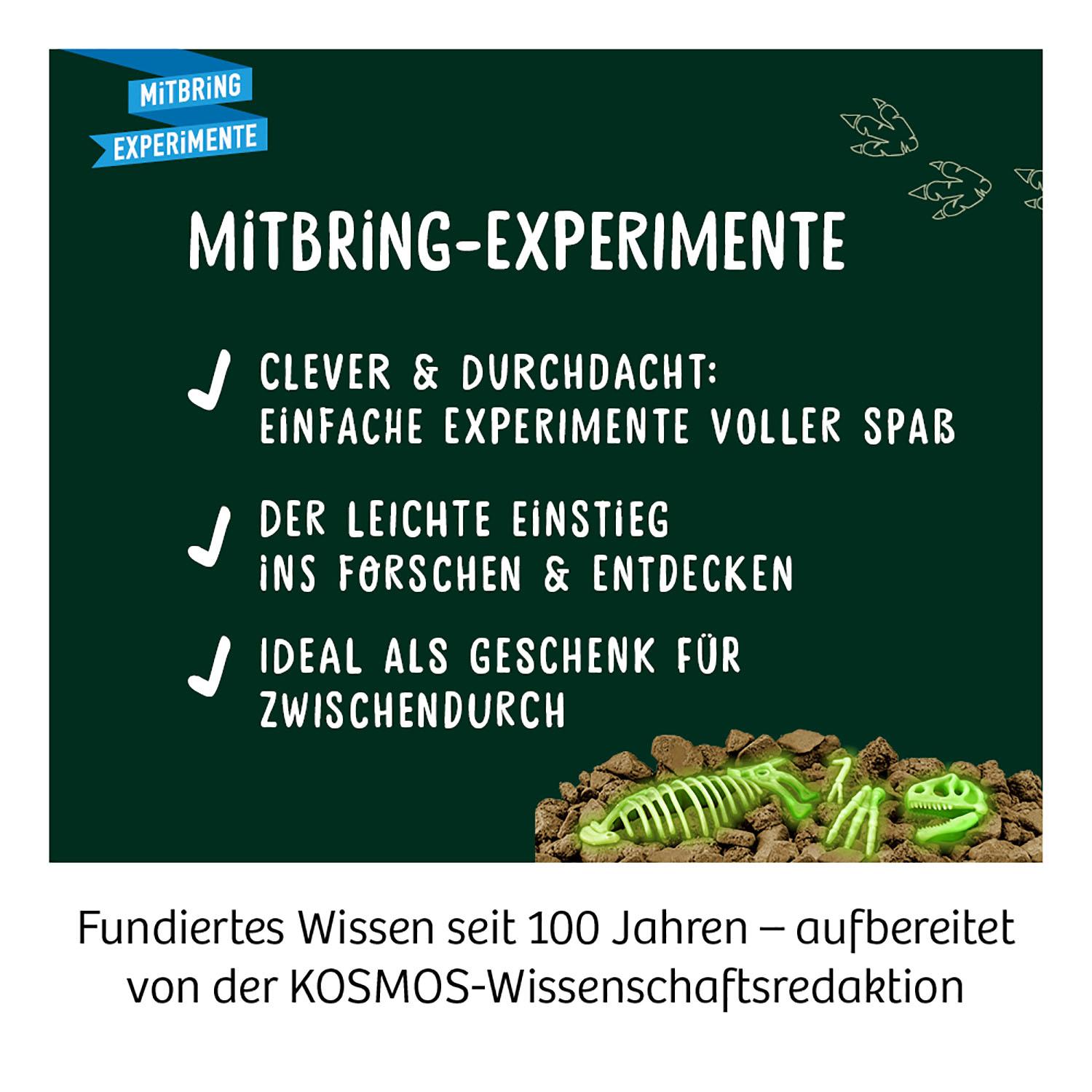 Beispielinhalt (Bild) Nachtleuchtender T-REX