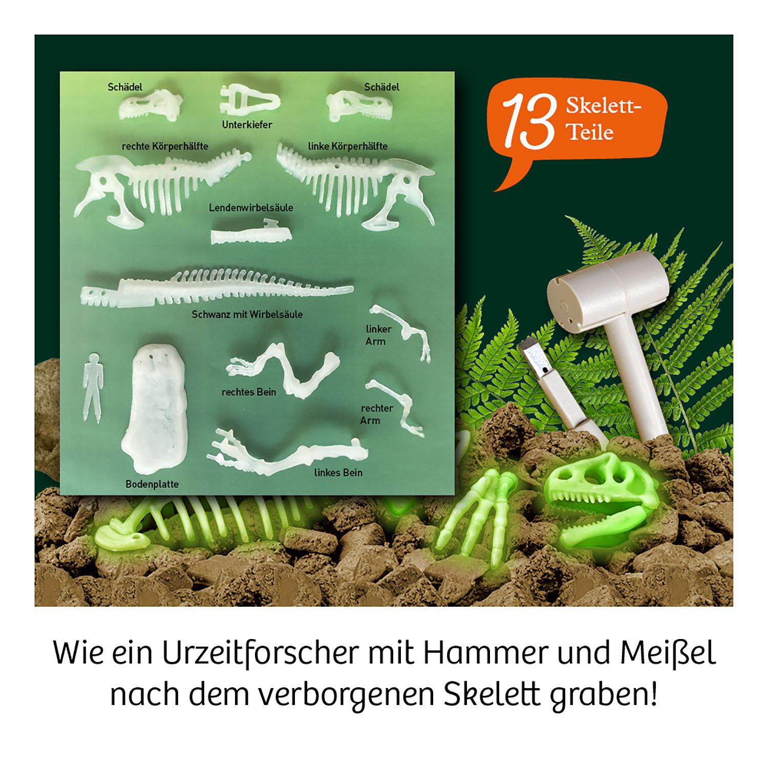 Beispielinhalt (Bild) Nachtleuchtender T-REX