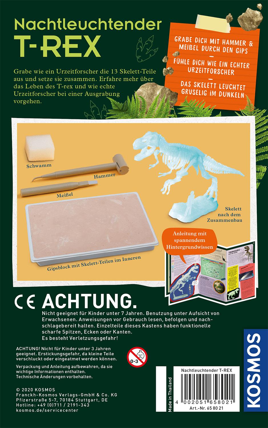 Rückseitencover Nachtleuchtender T-REX