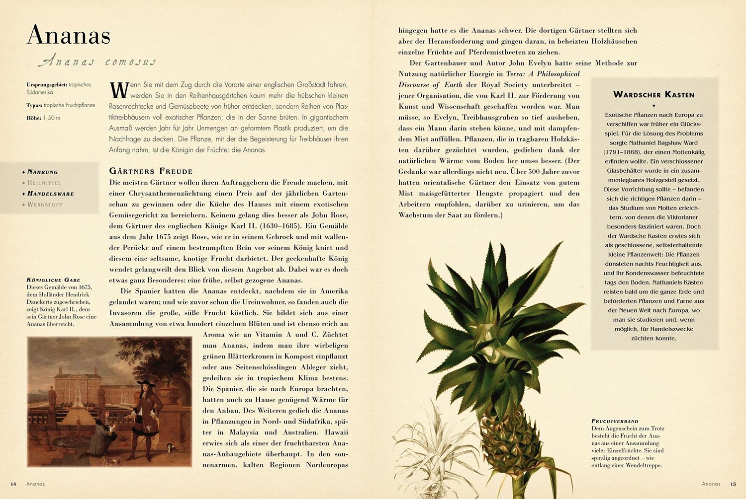 Beispielinhalt (Bild) 50 Pflanzen