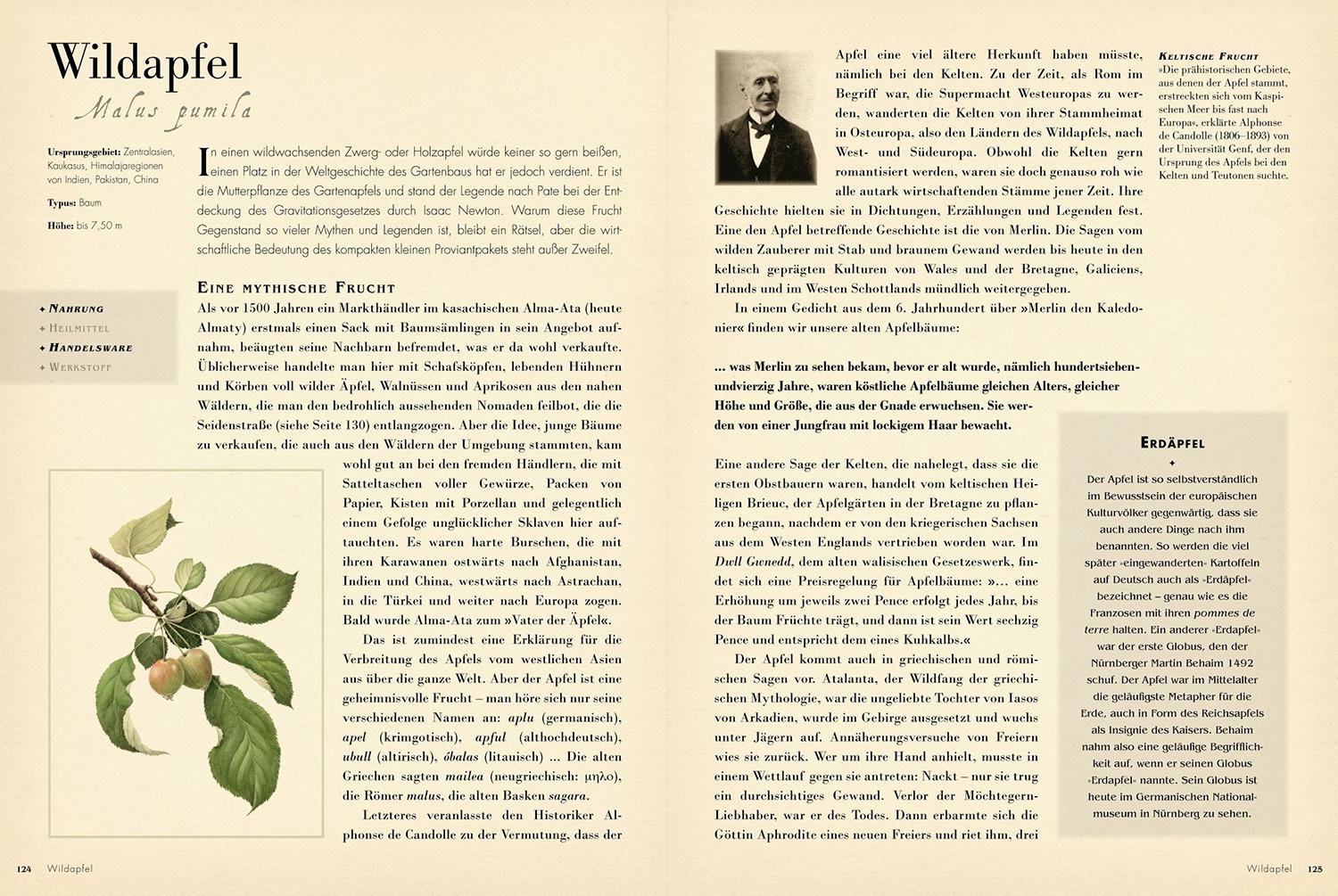 Beispielinhalt (Bild) 50 Pflanzen